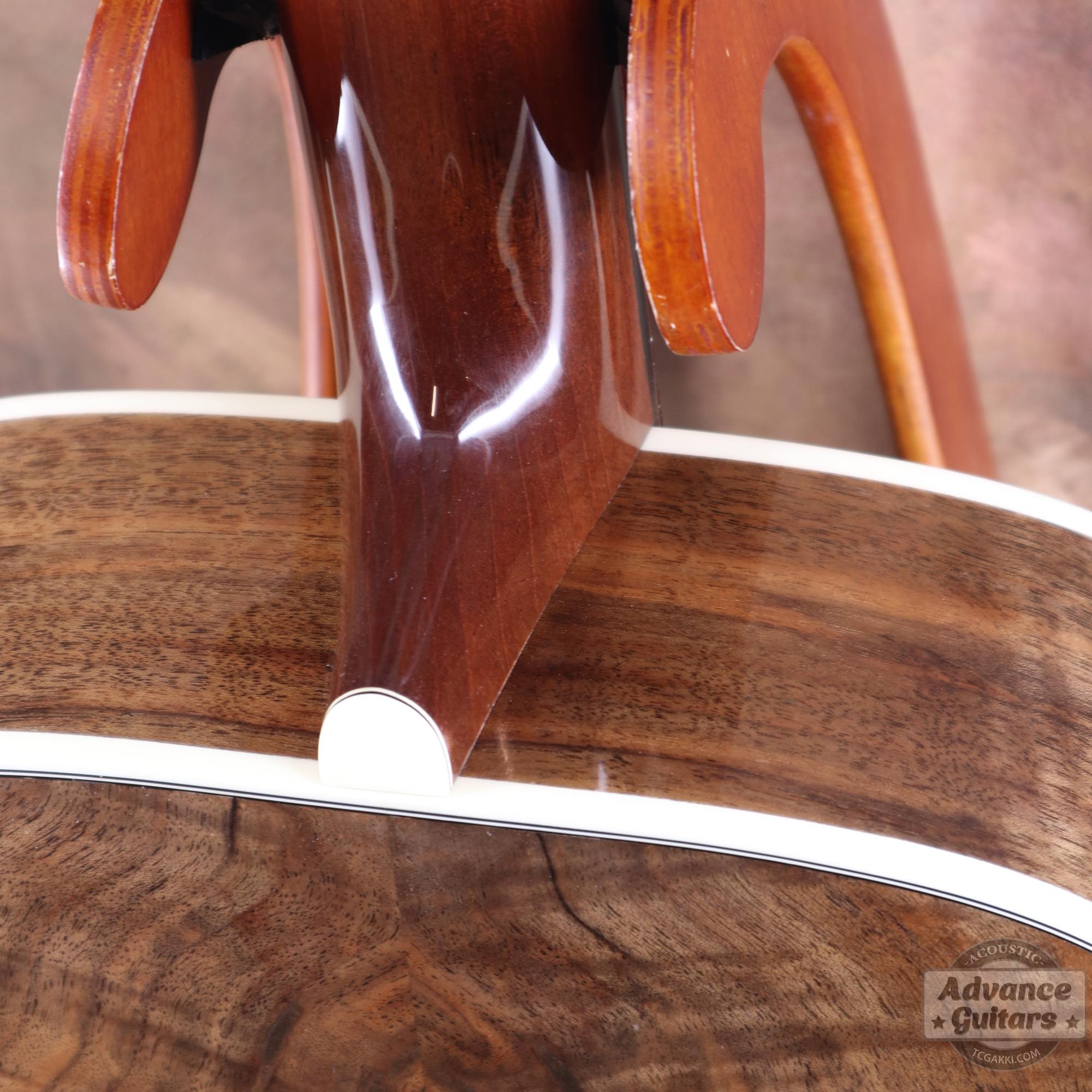 Flame Claro Walnut Dreadnought Advance Guitars Signature Model - TC楽器 - TCGAKKI