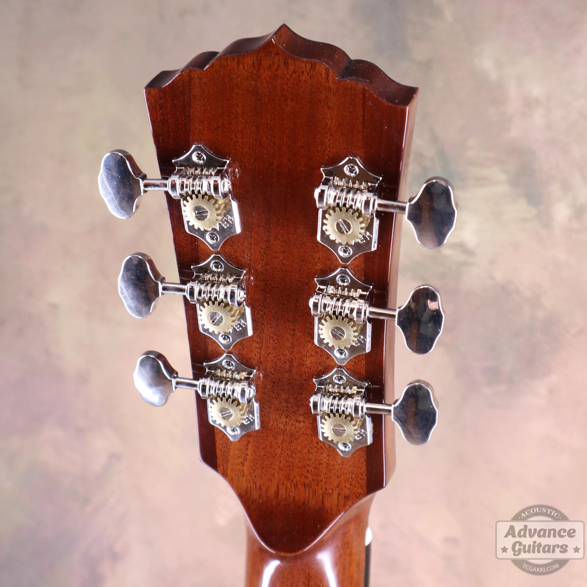 Flame Claro Walnut Dreadnought Advance Guitars Signature Model - TC楽器 - TCGAKKI