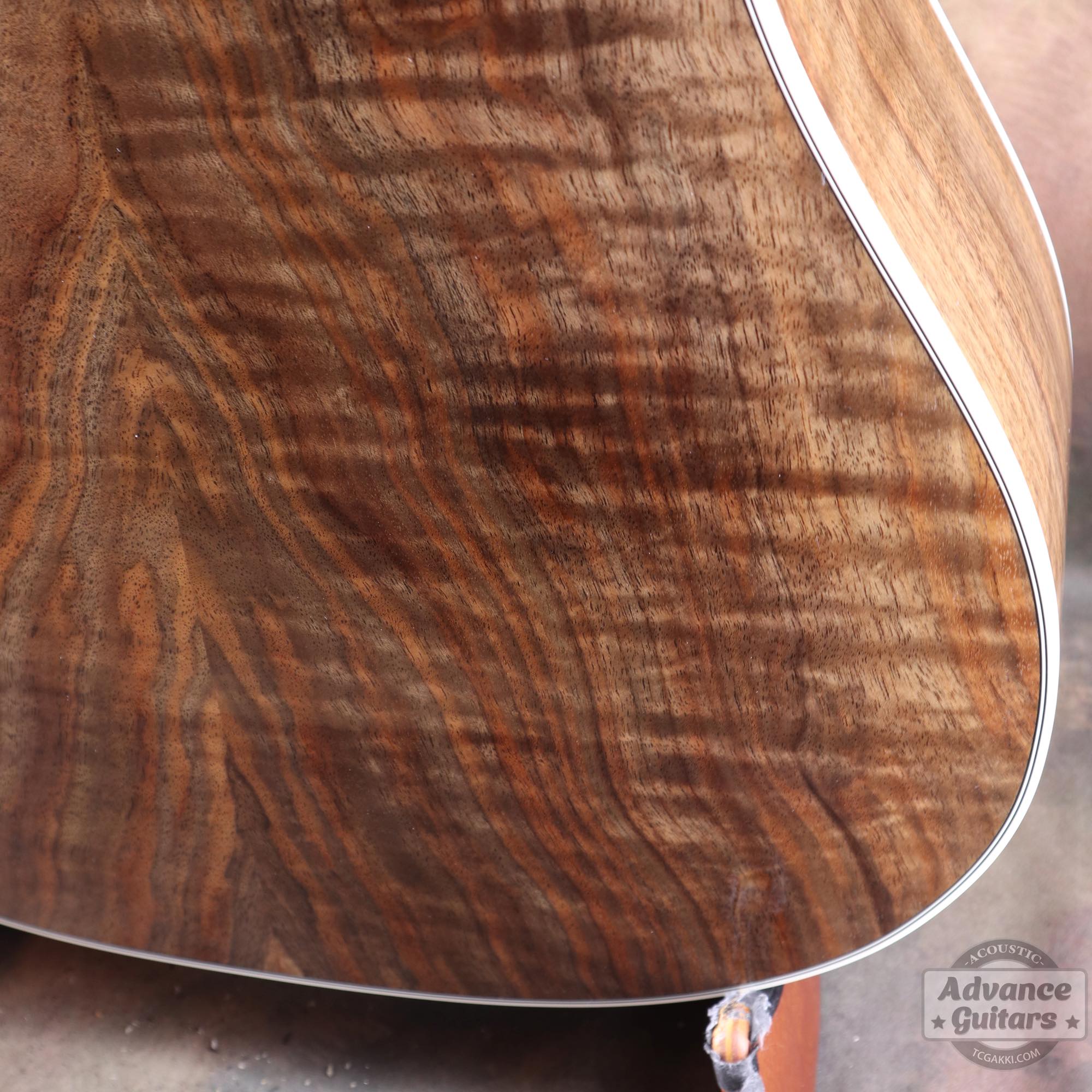 Flame Claro Walnut Dreadnought Advance Guitars Signature Model - TC楽器 - TCGAKKI