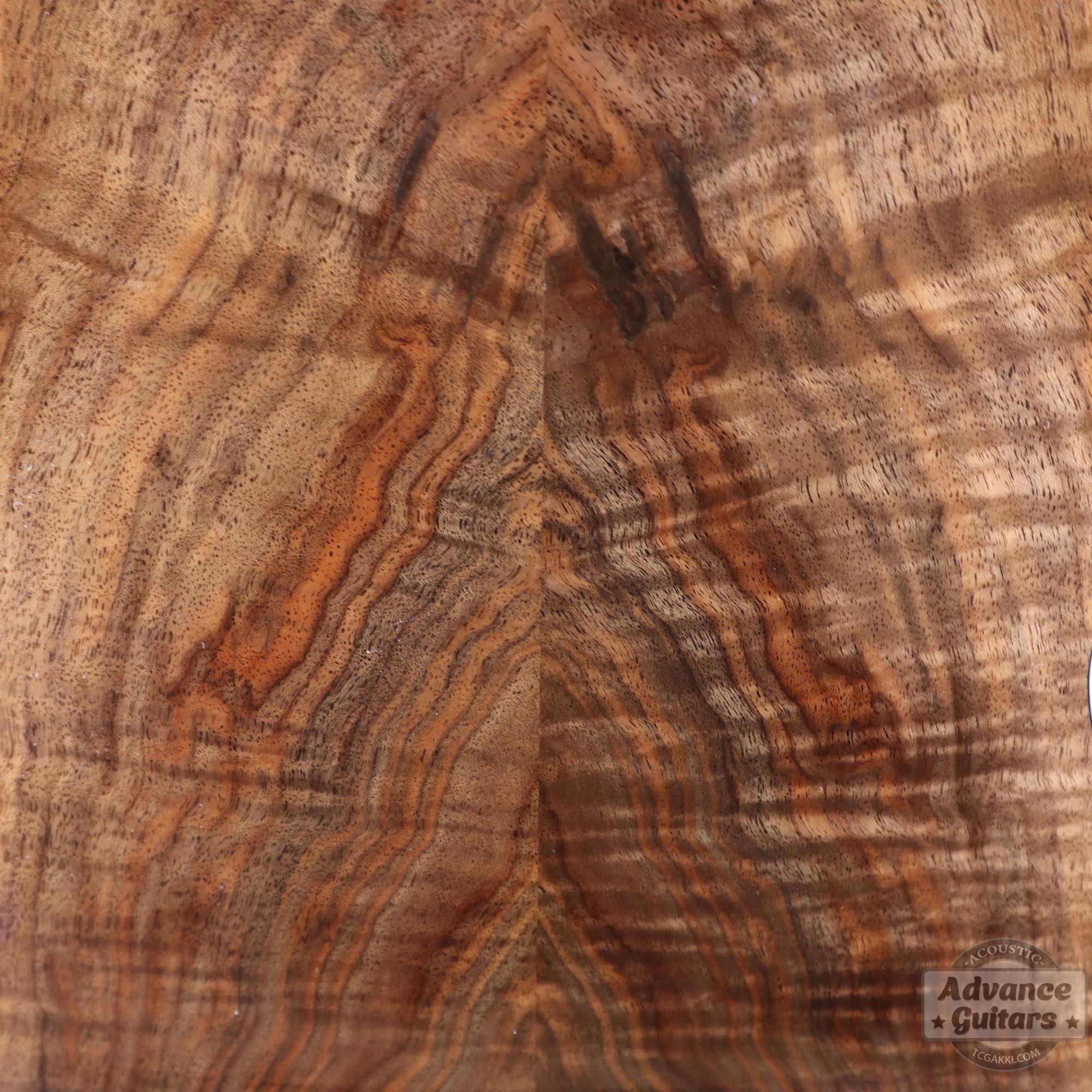 Flame Claro Walnut Dreadnought Advance Guitars Signature Model - TC楽器 - TCGAKKI