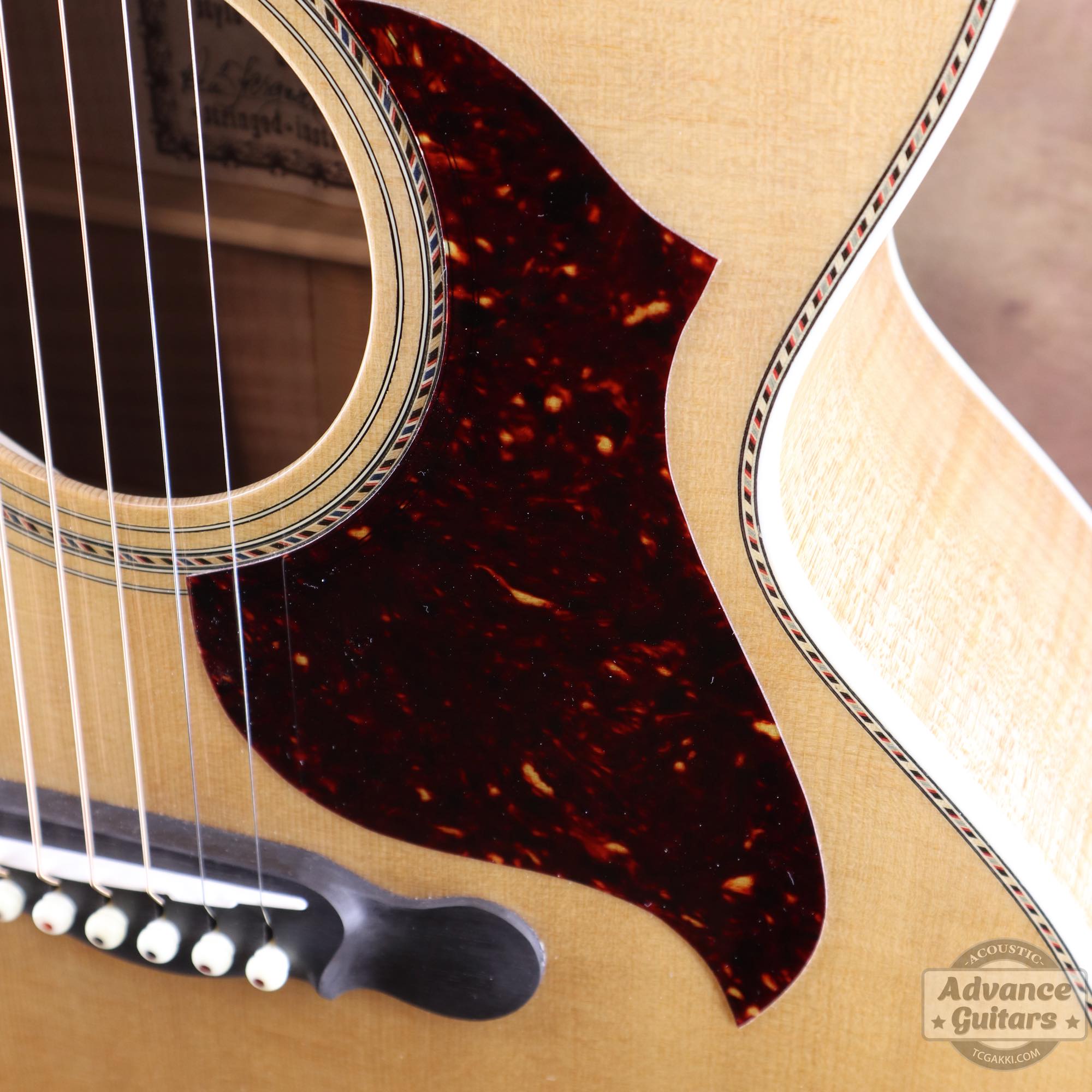 Ren Ferguson【新品】Flame Maple 985 Advance Guitars Signature - TC