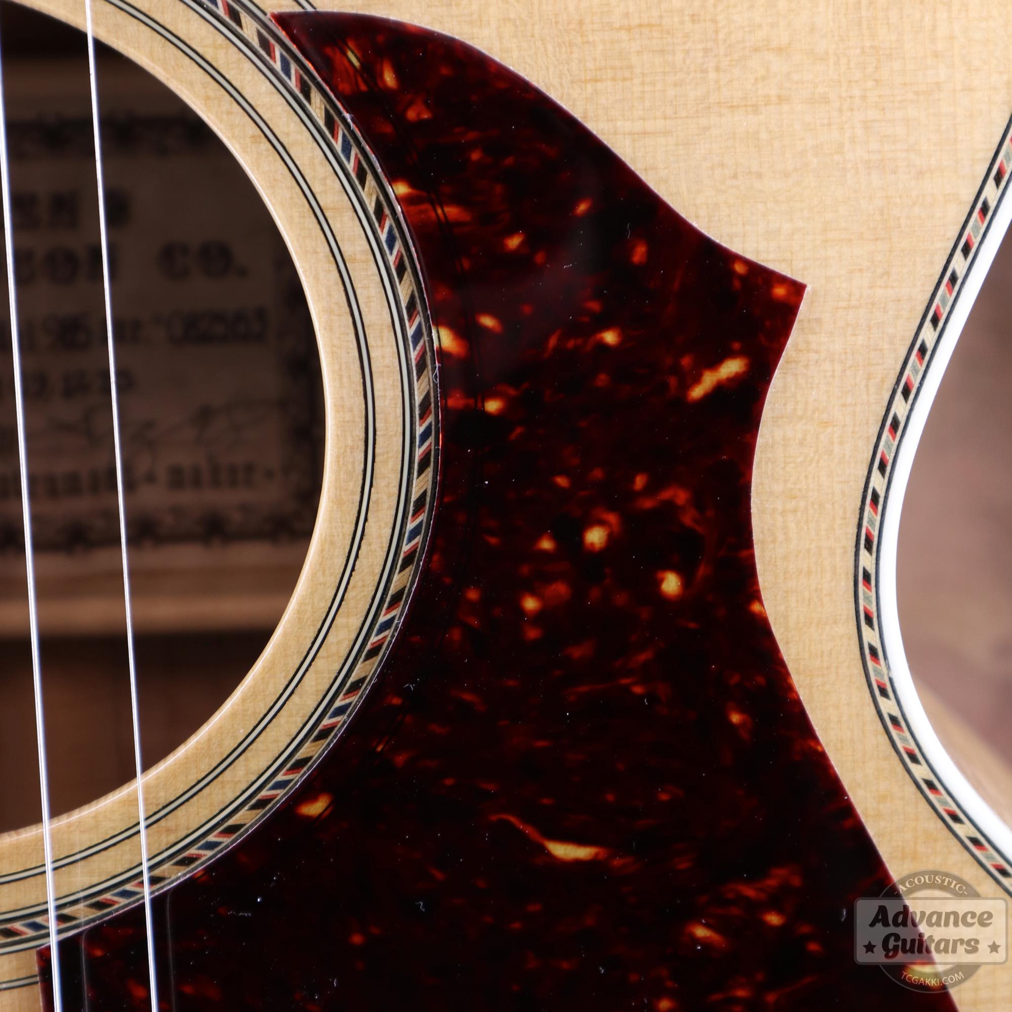 Ren Ferguson【新品】Flame Maple 985 Advance Guitars Signature