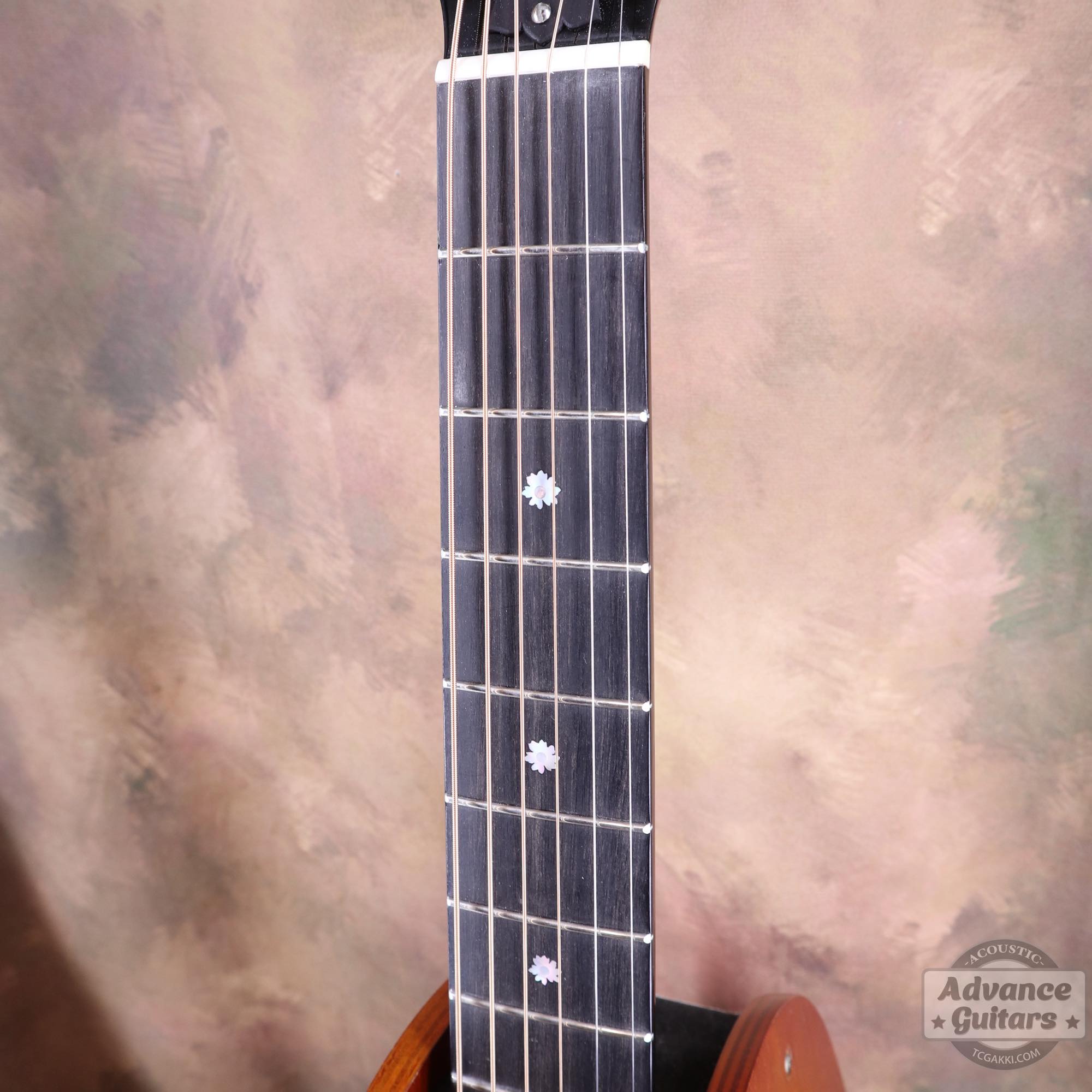Ren Ferguson【新品】Flame Maple 985 Advance Guitars Signature - TC