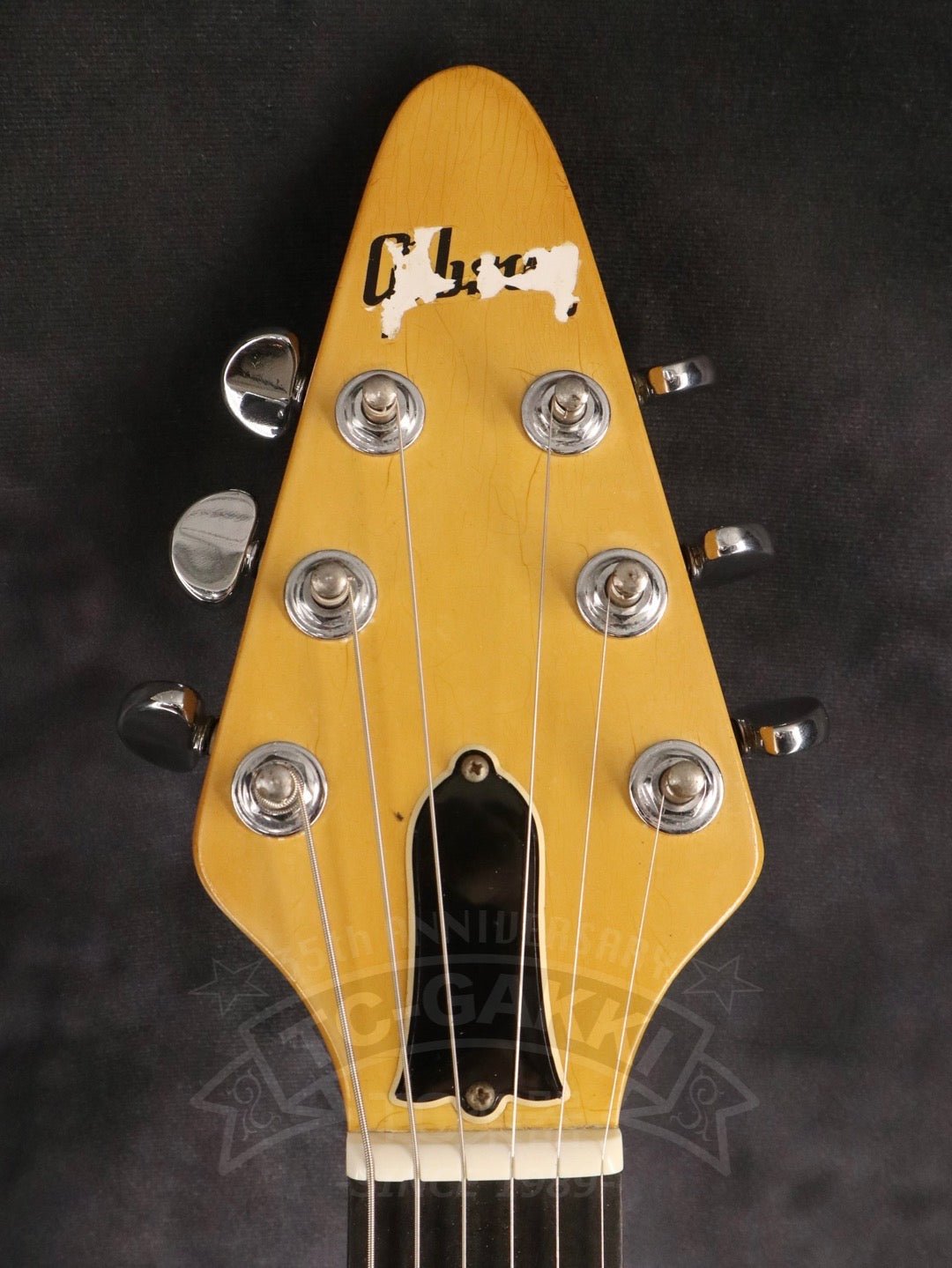 Flying V - TC楽器 - TCGAKKI