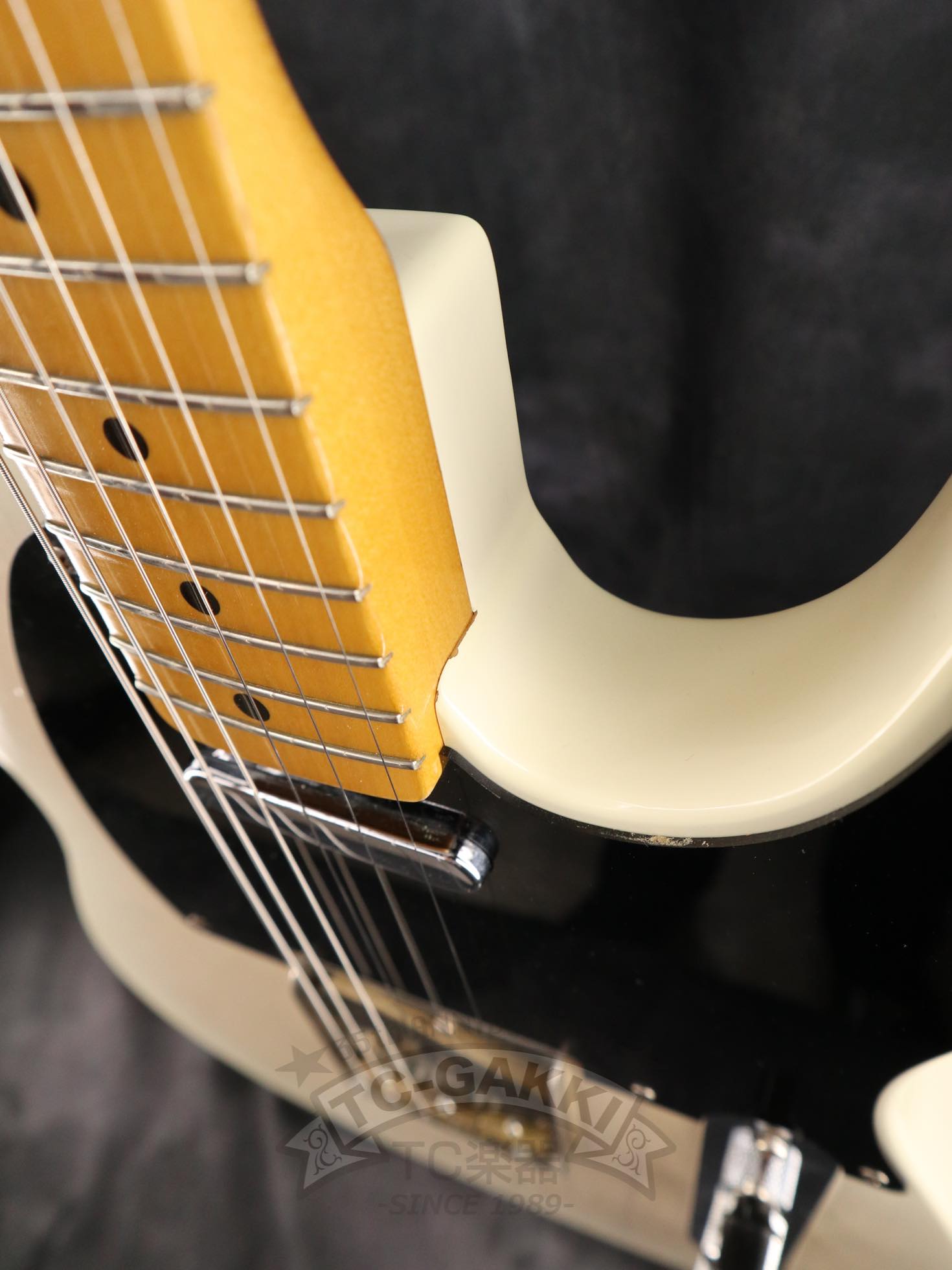 FRED - 50W - TC楽器 - TCGAKKI