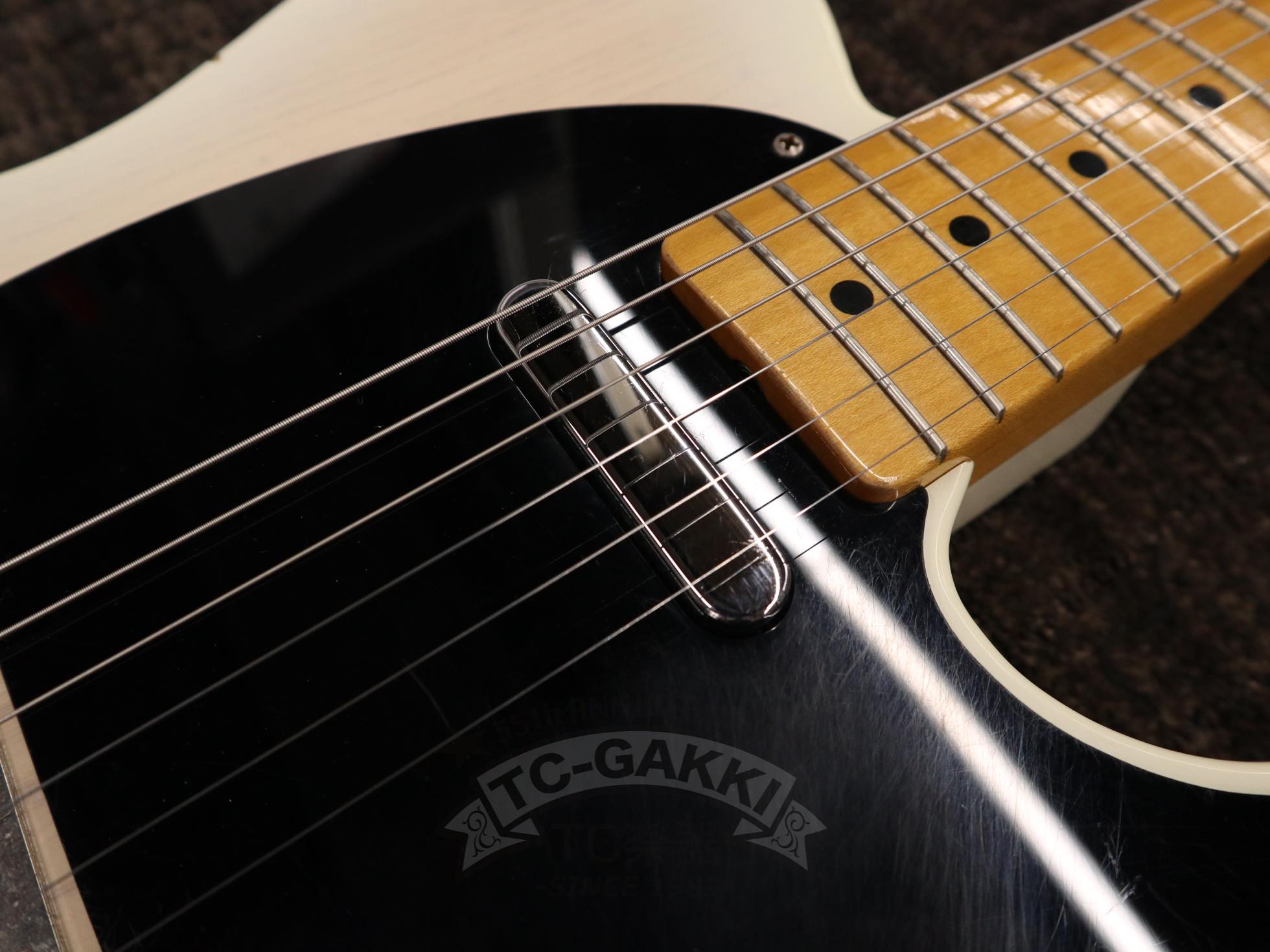 FRED - 50W - TC楽器 - TCGAKKI