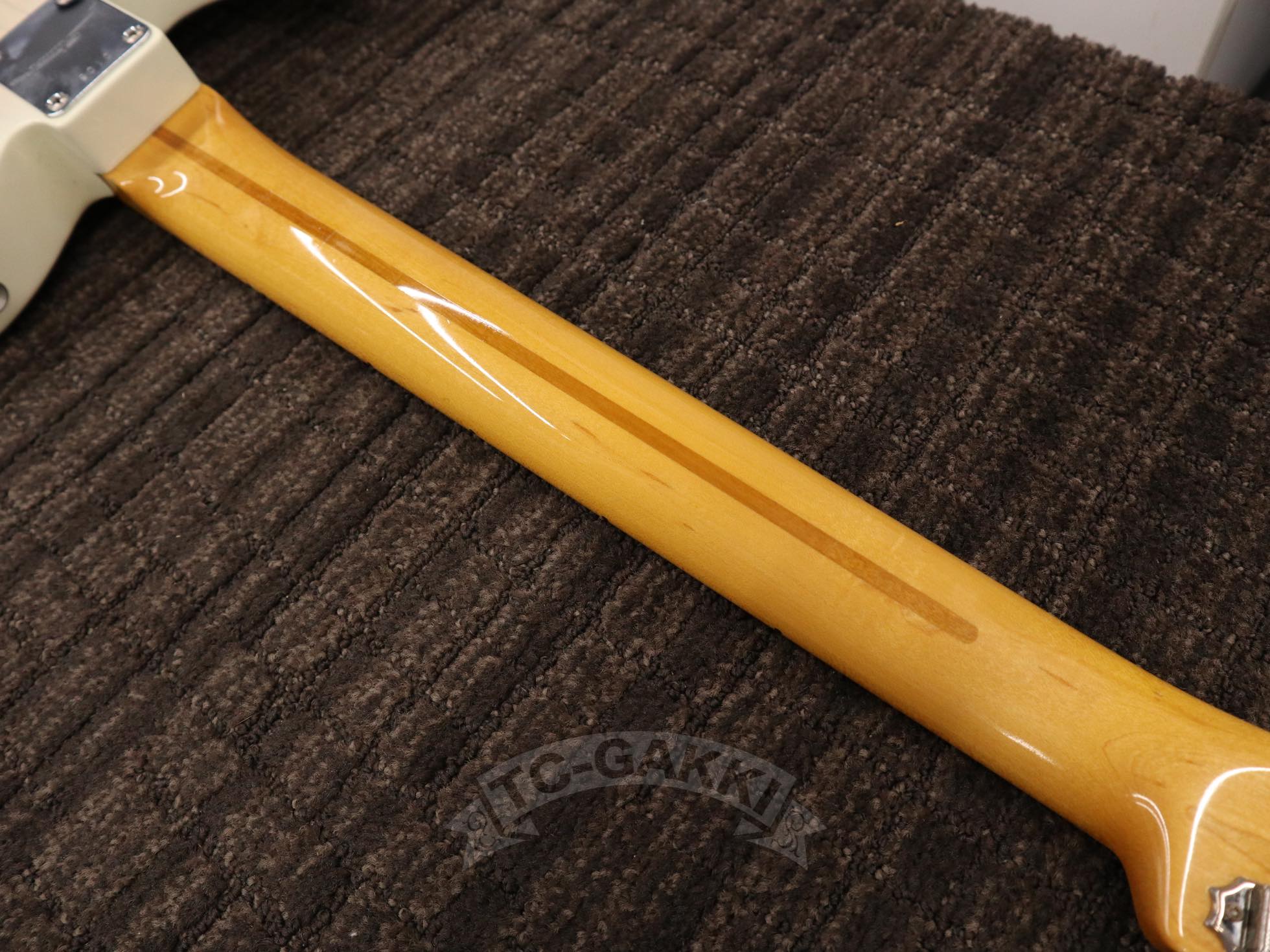 FRED - 50W - TC楽器 - TCGAKKI