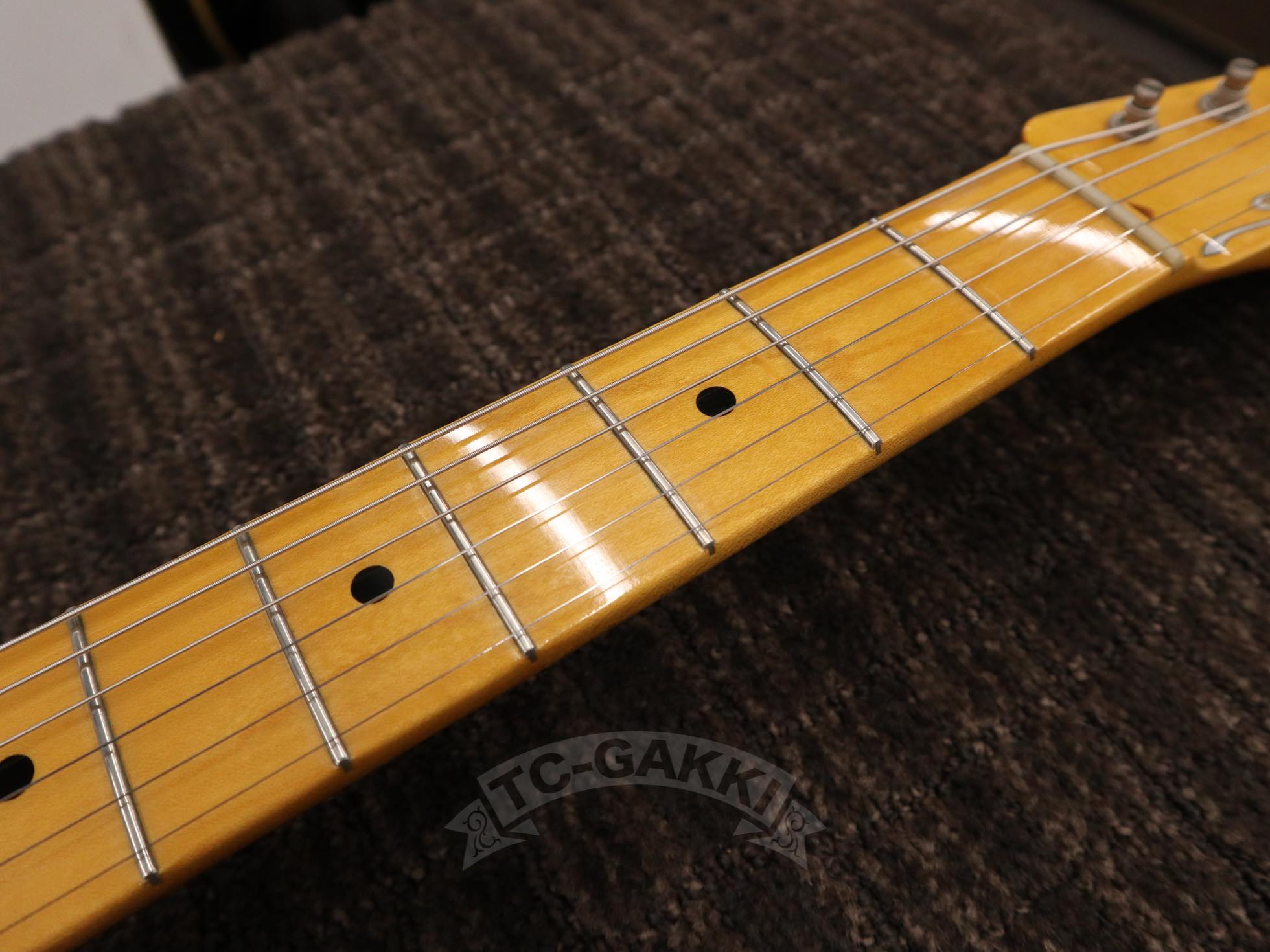 FRED - 50W - TC楽器 - TCGAKKI