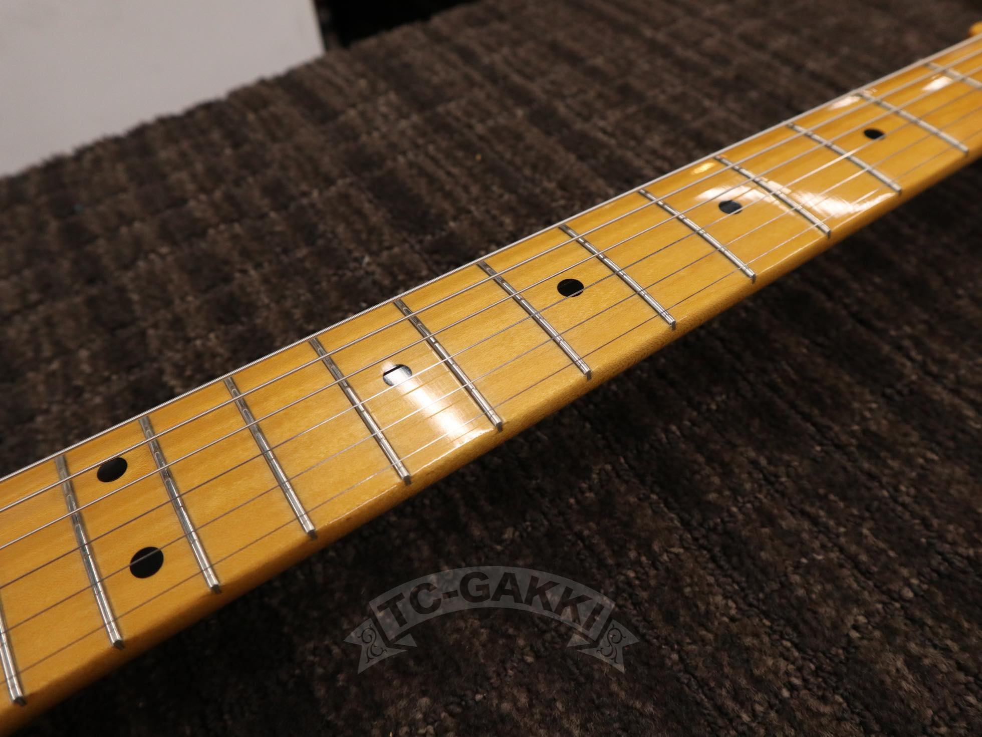 FRED - 50W - TC楽器 - TCGAKKI