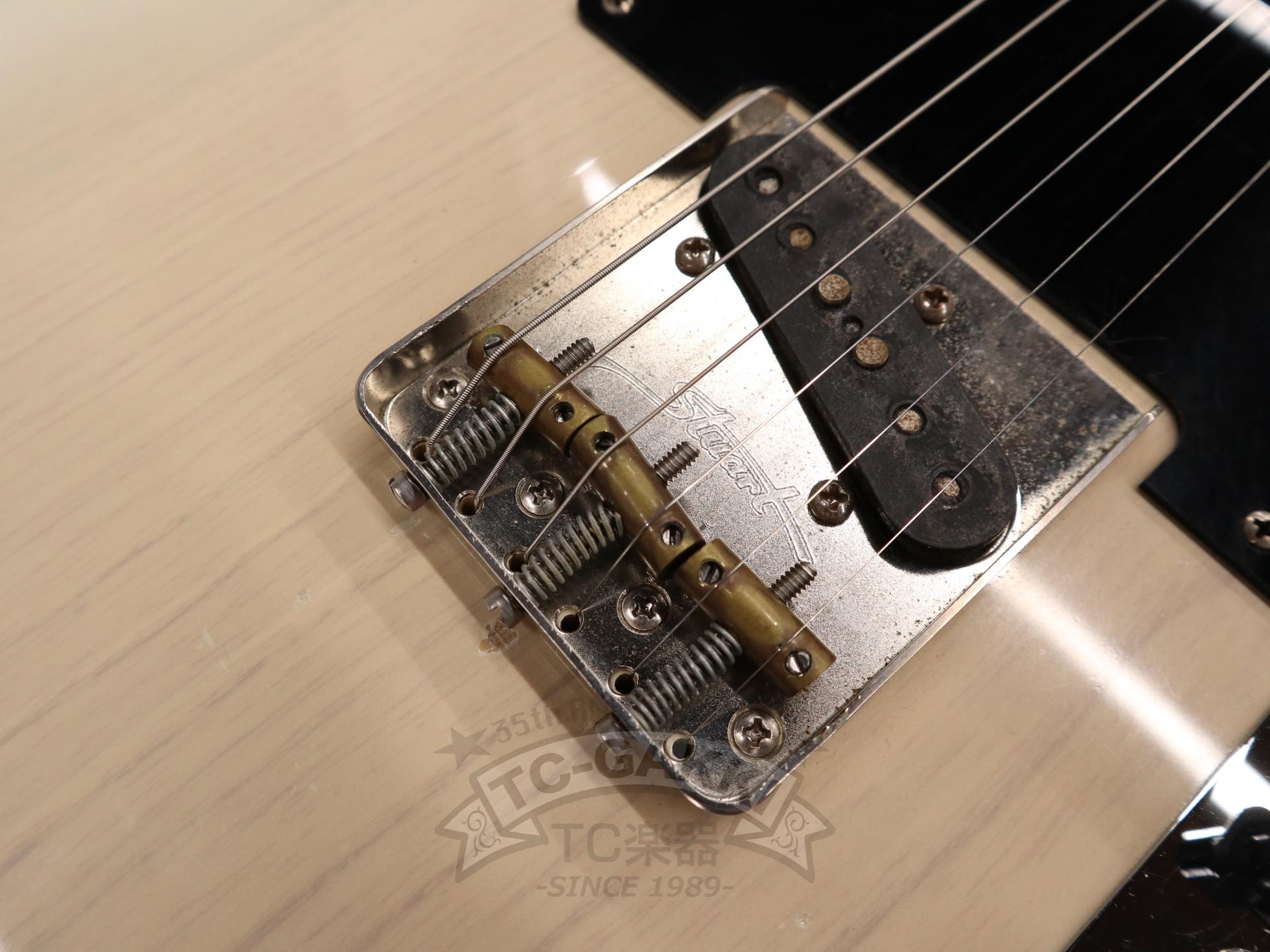 FRED - 50W - TC楽器 - TCGAKKI