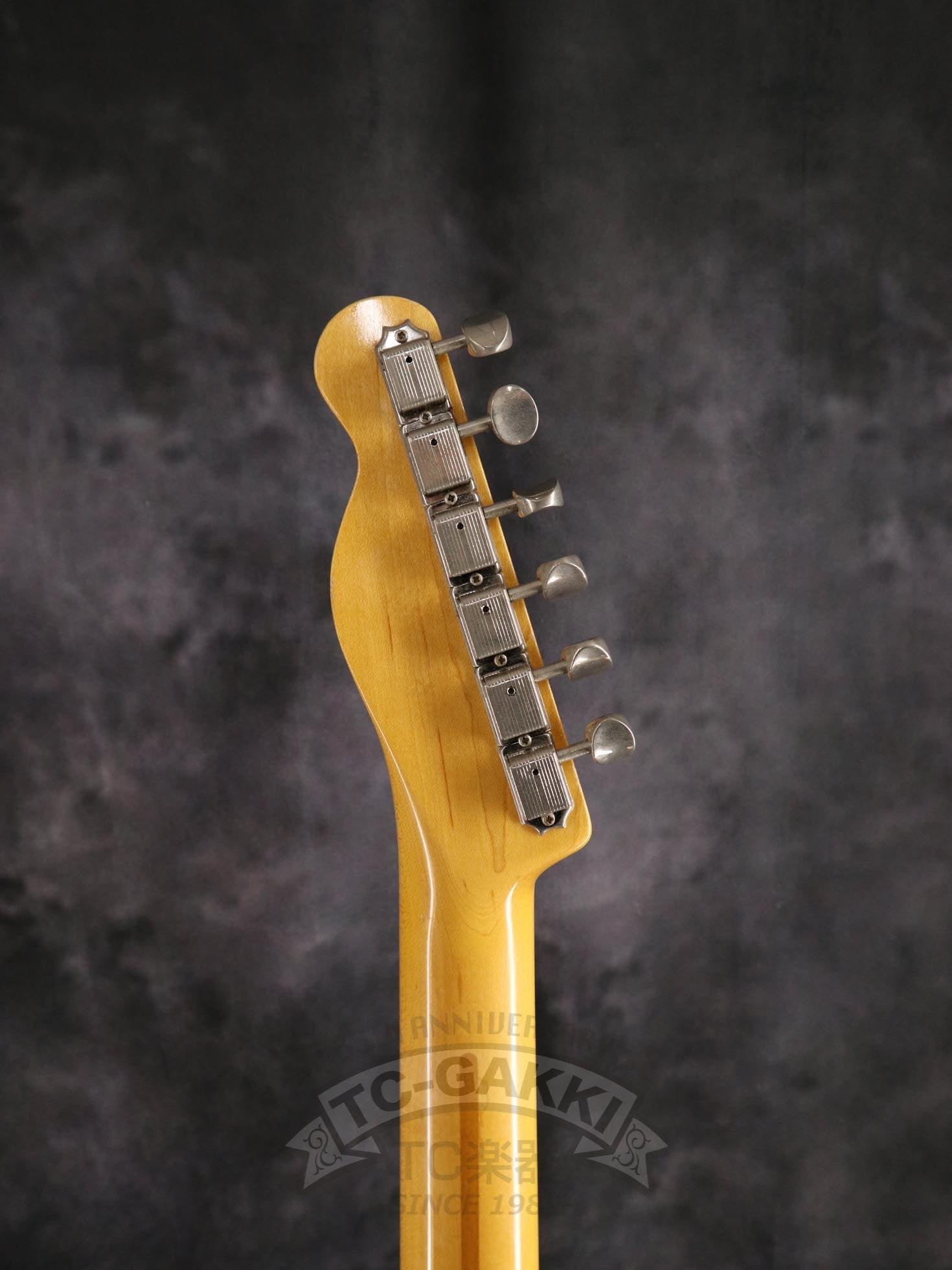 FRED - 50W - TC楽器 - TCGAKKI