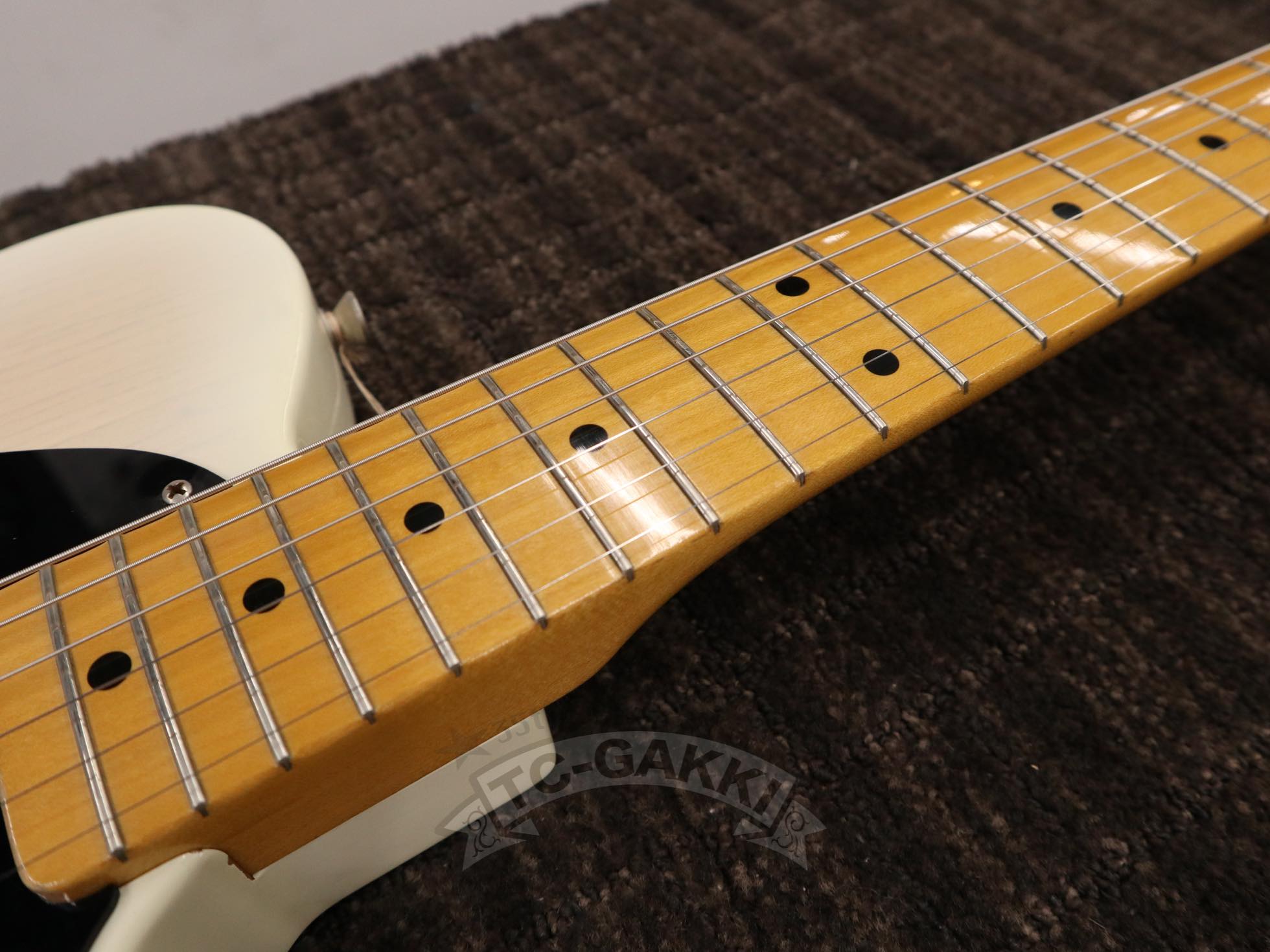 FRED - 50W - TC楽器 - TCGAKKI