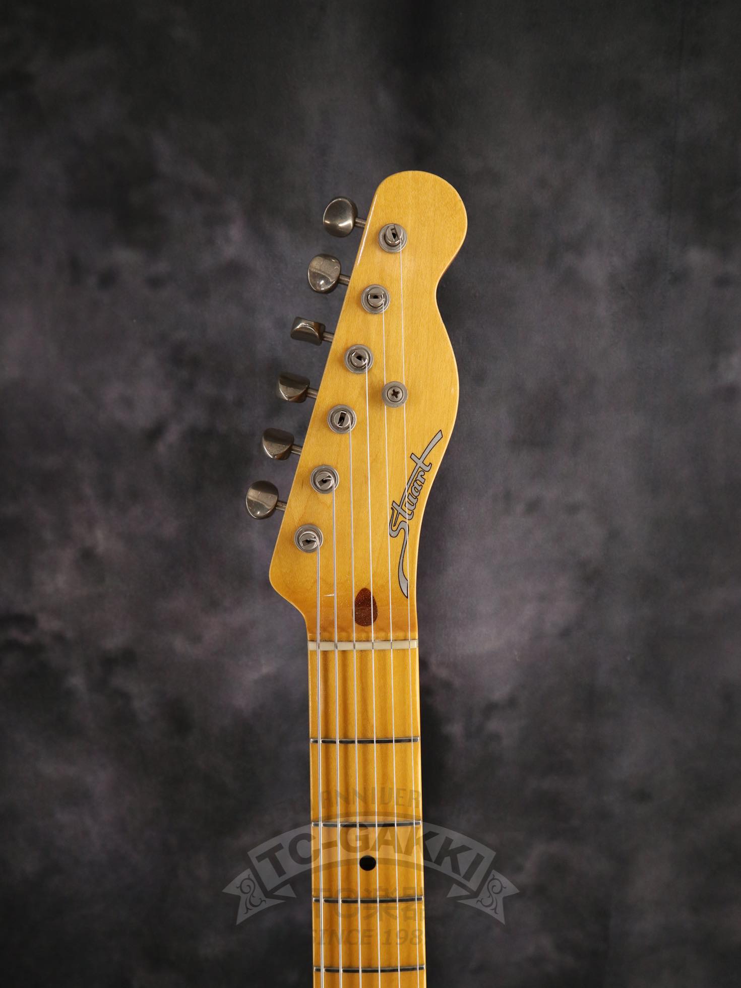 FRED - 50W - TC楽器 - TCGAKKI