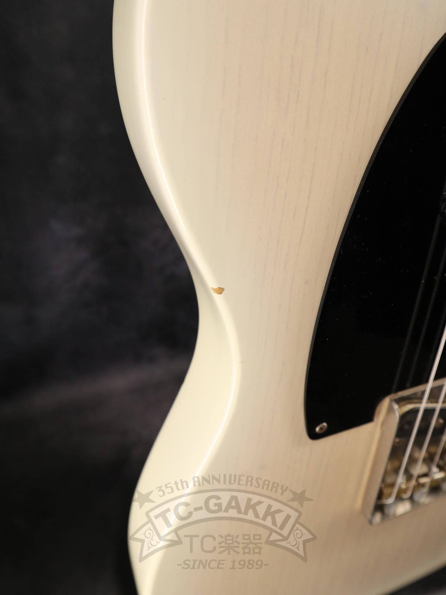 FRED - 50W - TC楽器 - TCGAKKI