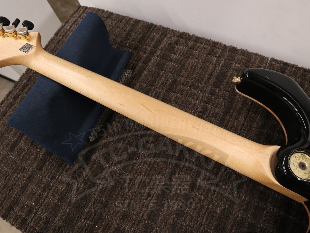 Freedom Custom Guitar Research HYDRA 2point - 24F - TC楽器 - TCGAKKI