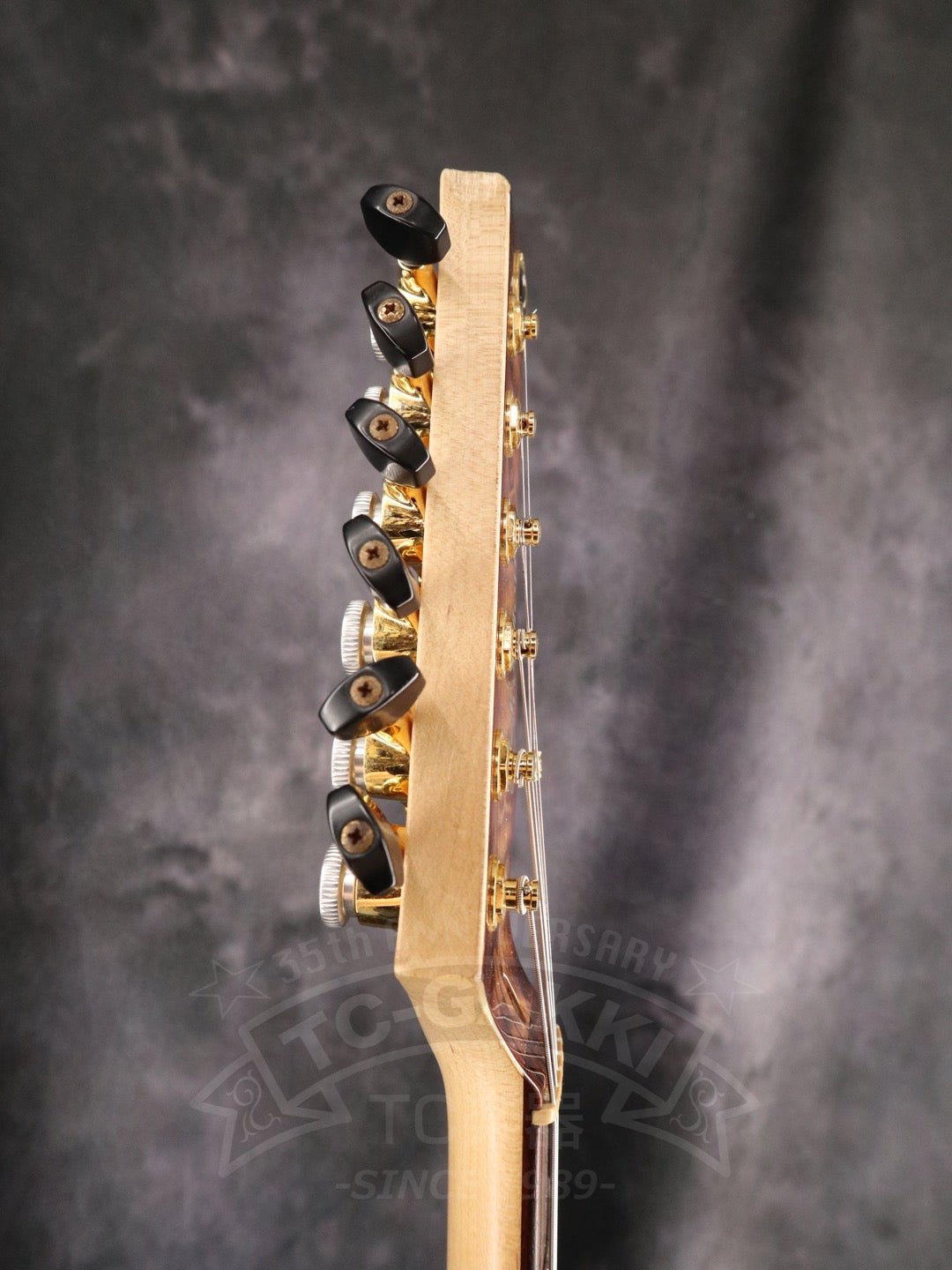 Freedom Custom Guitar Research HYDRA 2point - 24F - TC楽器 - TCGAKKI