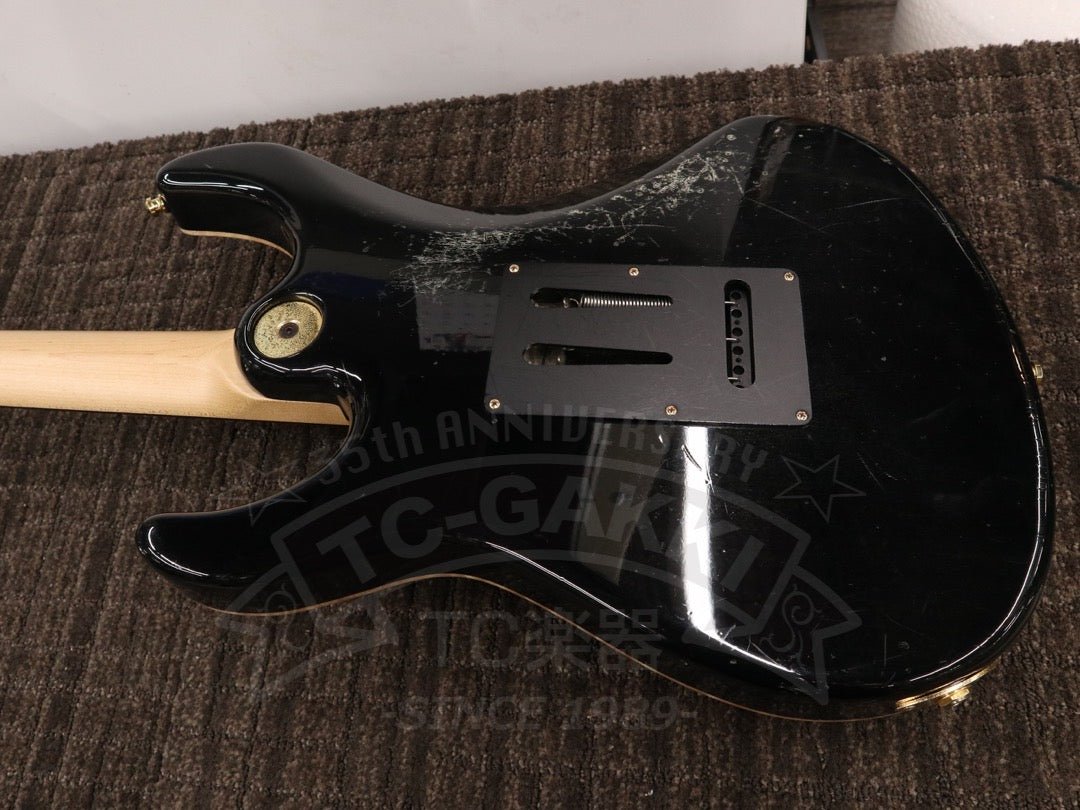 Freedom Custom Guitar Research HYDRA 2point-24F