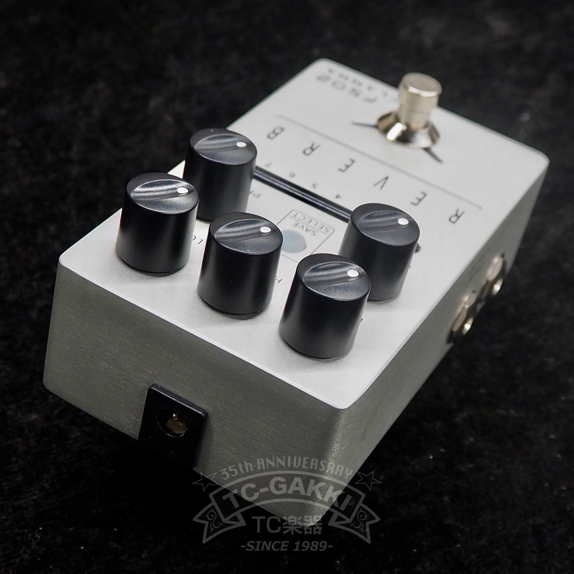 Mini FAUX Spring Reverb - TC楽器 - TCGAKKI