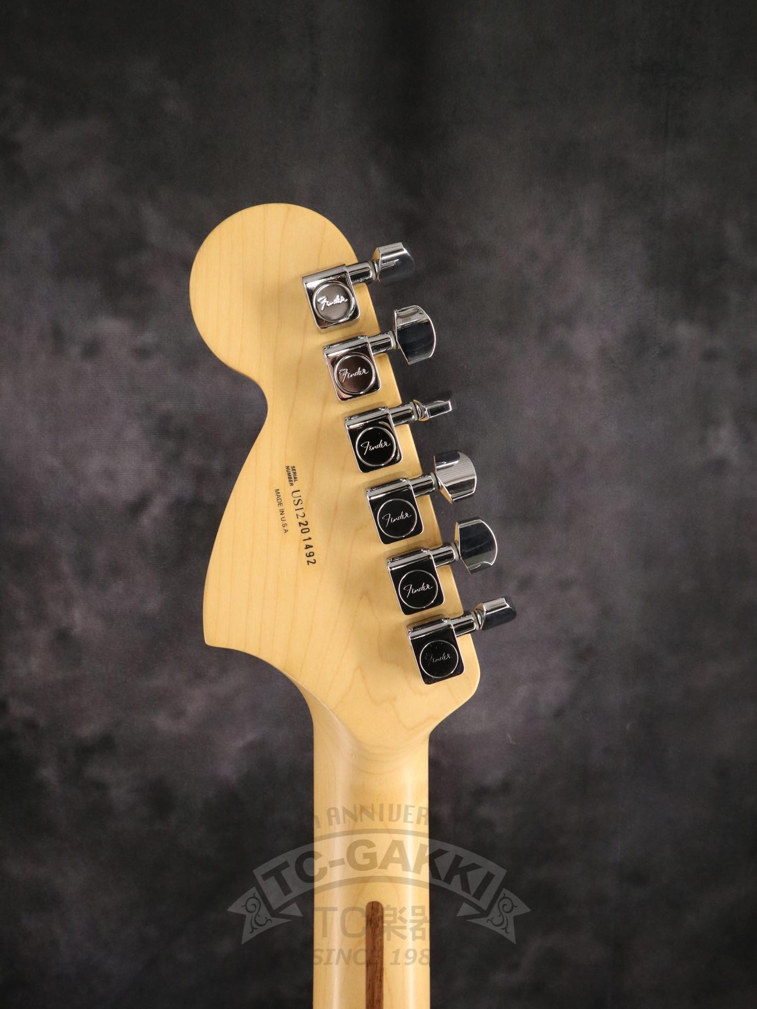 FSR American Special Stratocaster Stain - TC楽器 - TCGAKKI