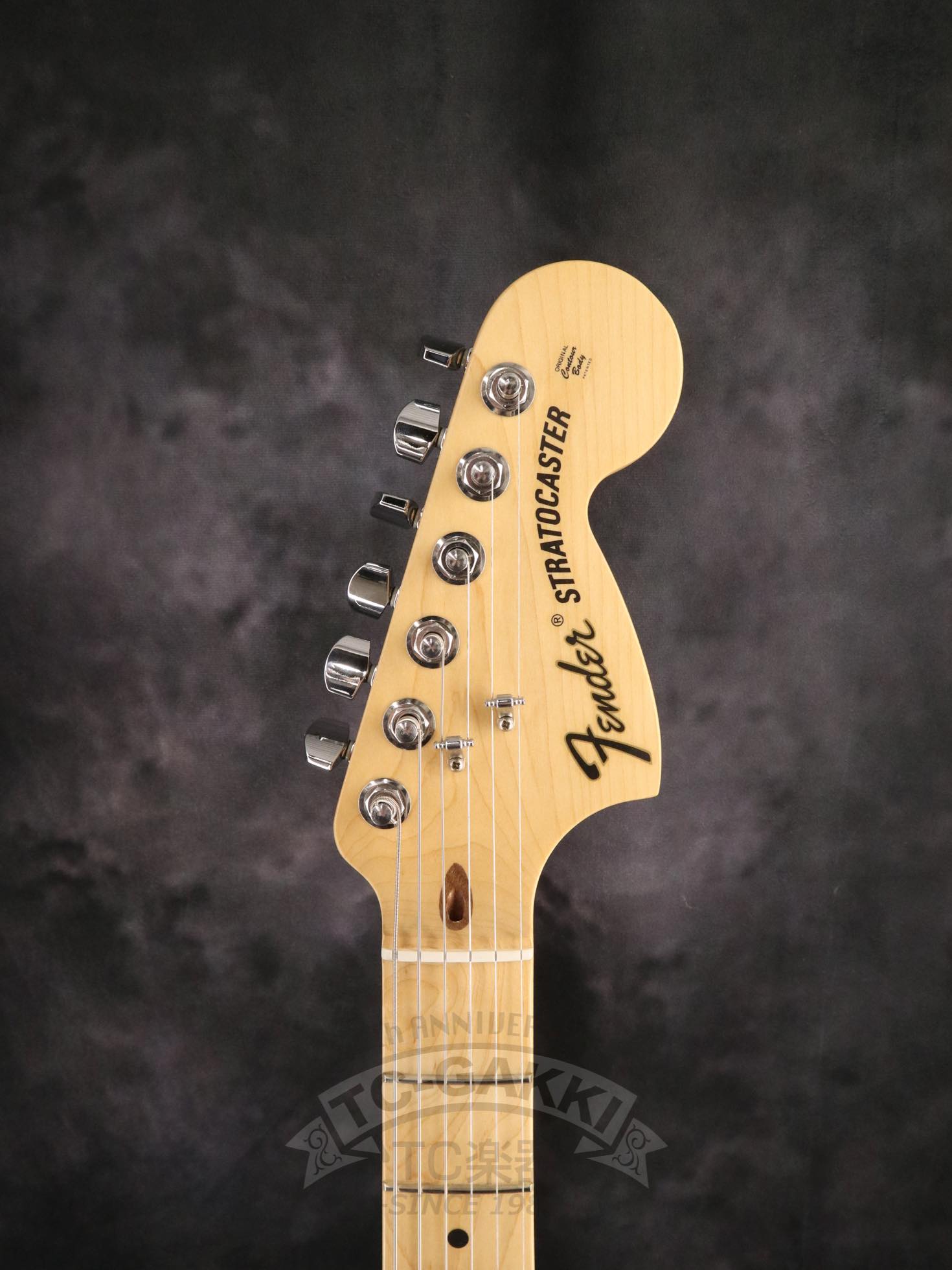 FSR American Special Stratocaster Stain - TC楽器 - TCGAKKI