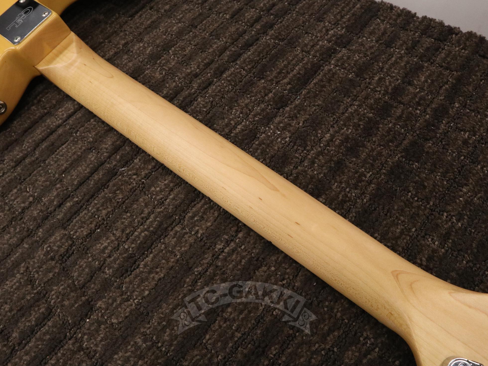 Fullerton Deluxe ASAT Classic ALNICO - TC楽器 - TCGAKKI