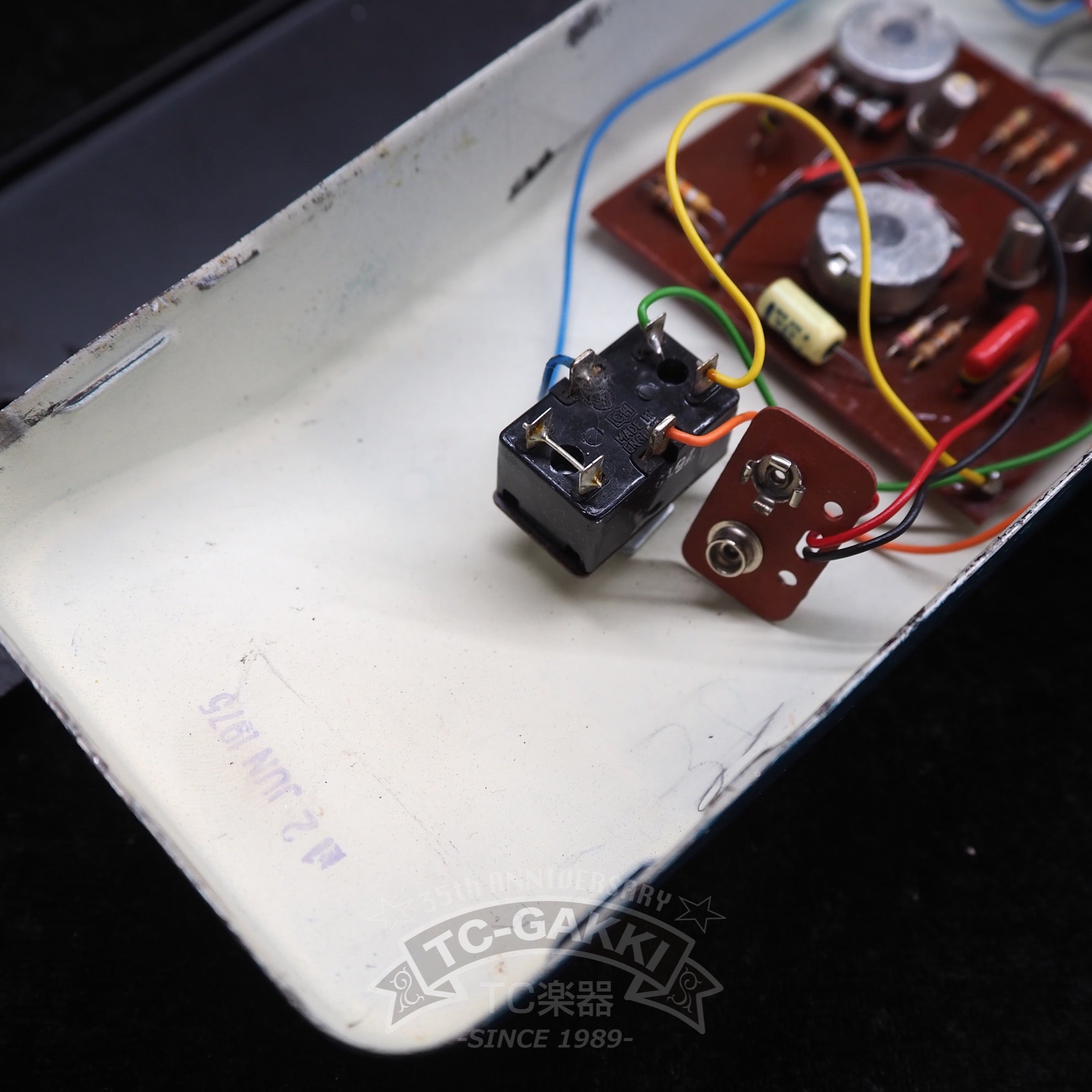 FUZZ - TC楽器 - TCGAKKI