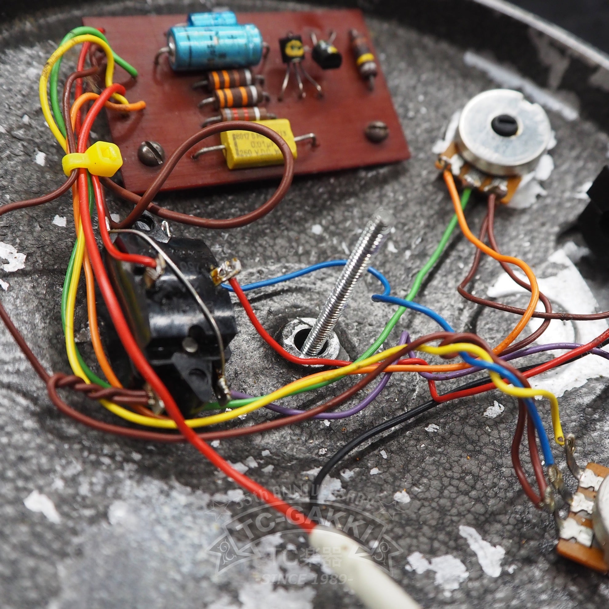 FUZZ FACE "BC183L" - TC楽器 - TCGAKKI