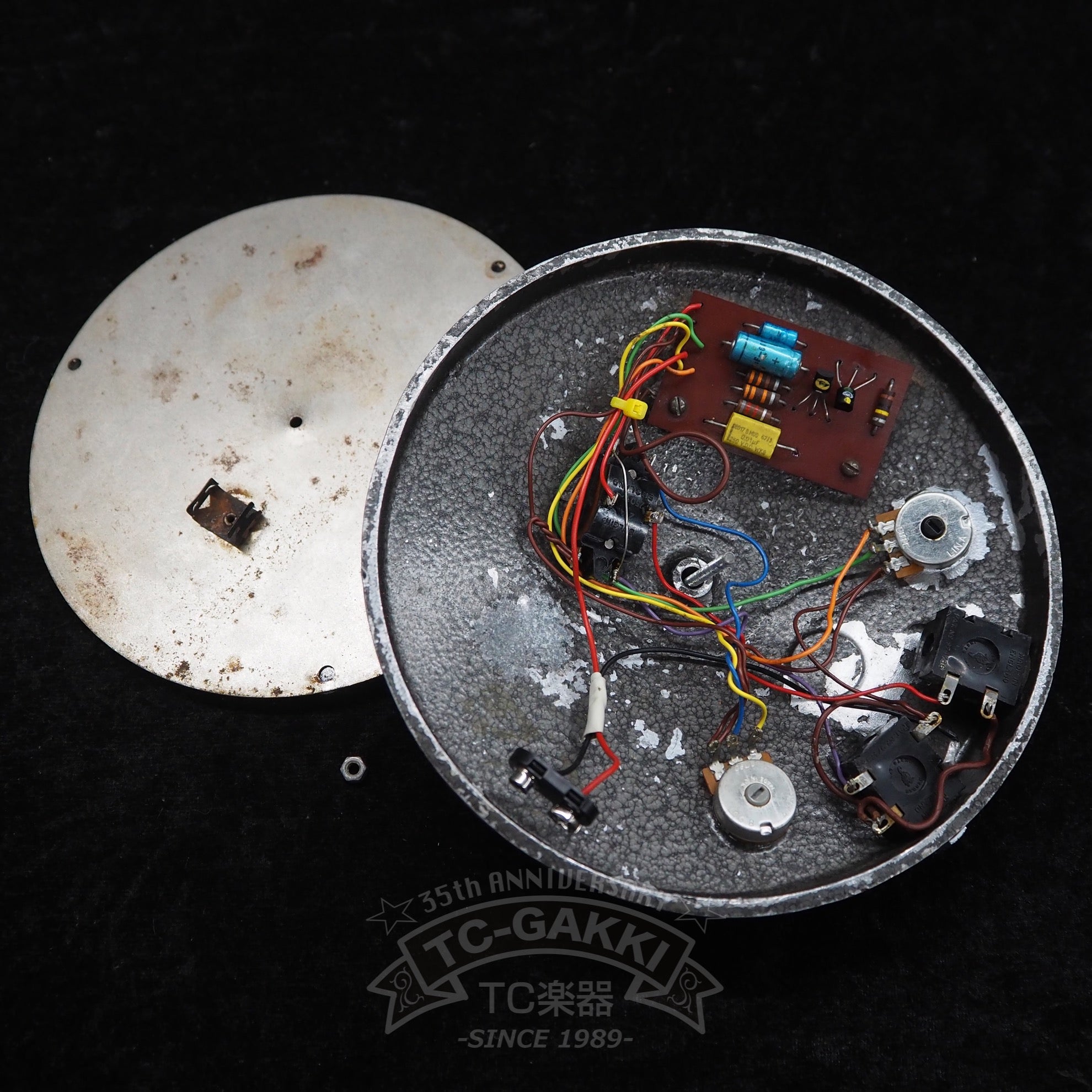 FUZZ FACE "BC183L" - TC楽器 - TCGAKKI