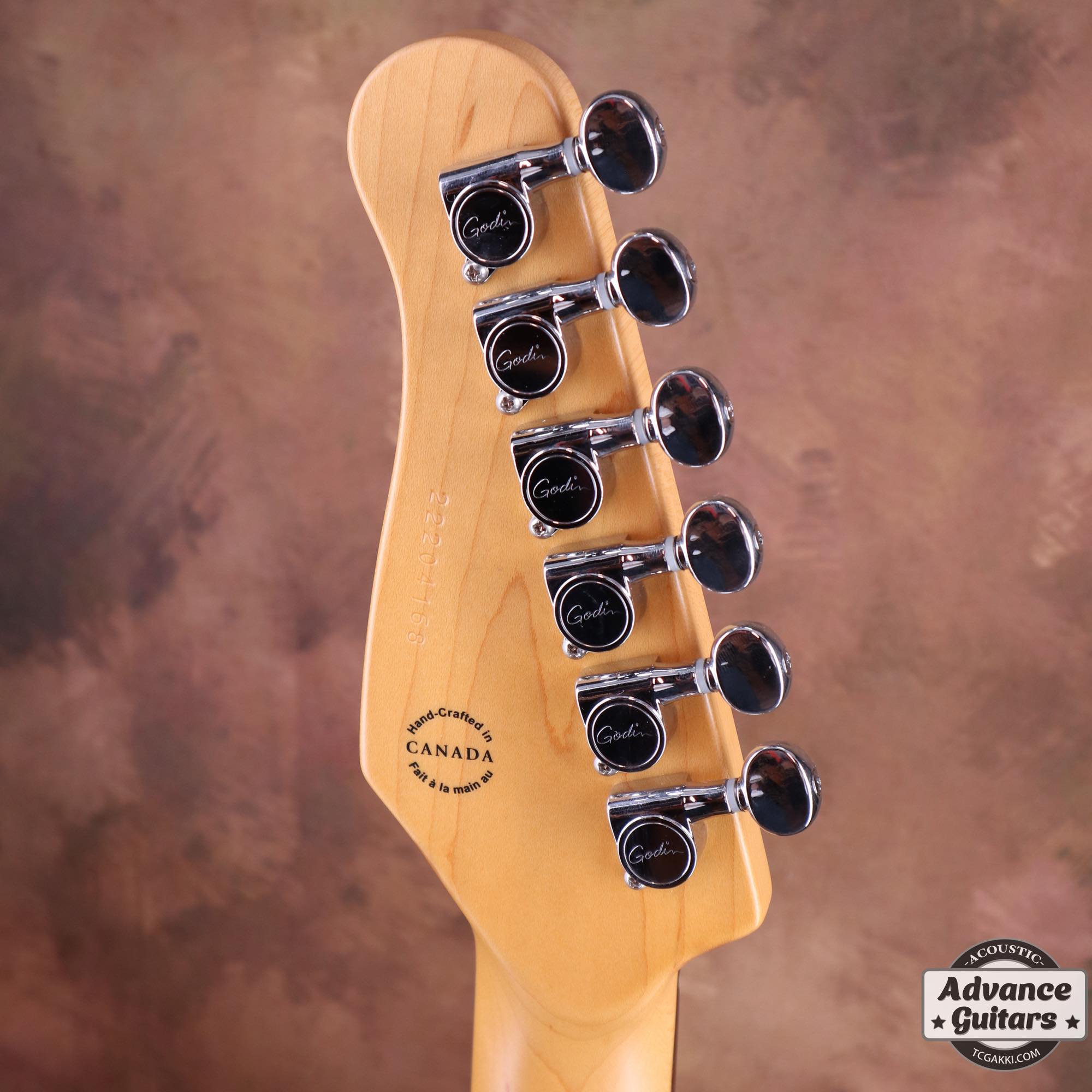Godin 2022年製 G-Tour Nylon Matte Black EQ SF
