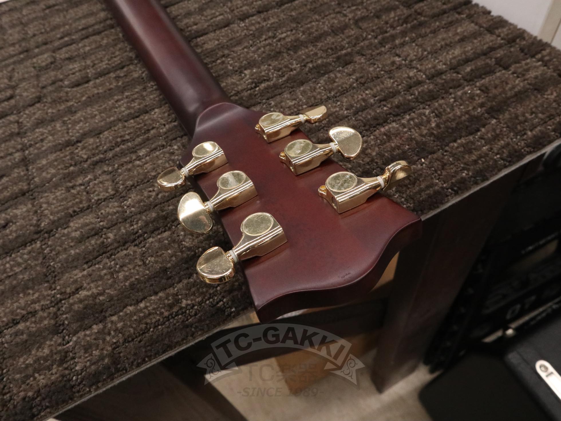 GE - 01 Limited Series - TC楽器 - TCGAKKI