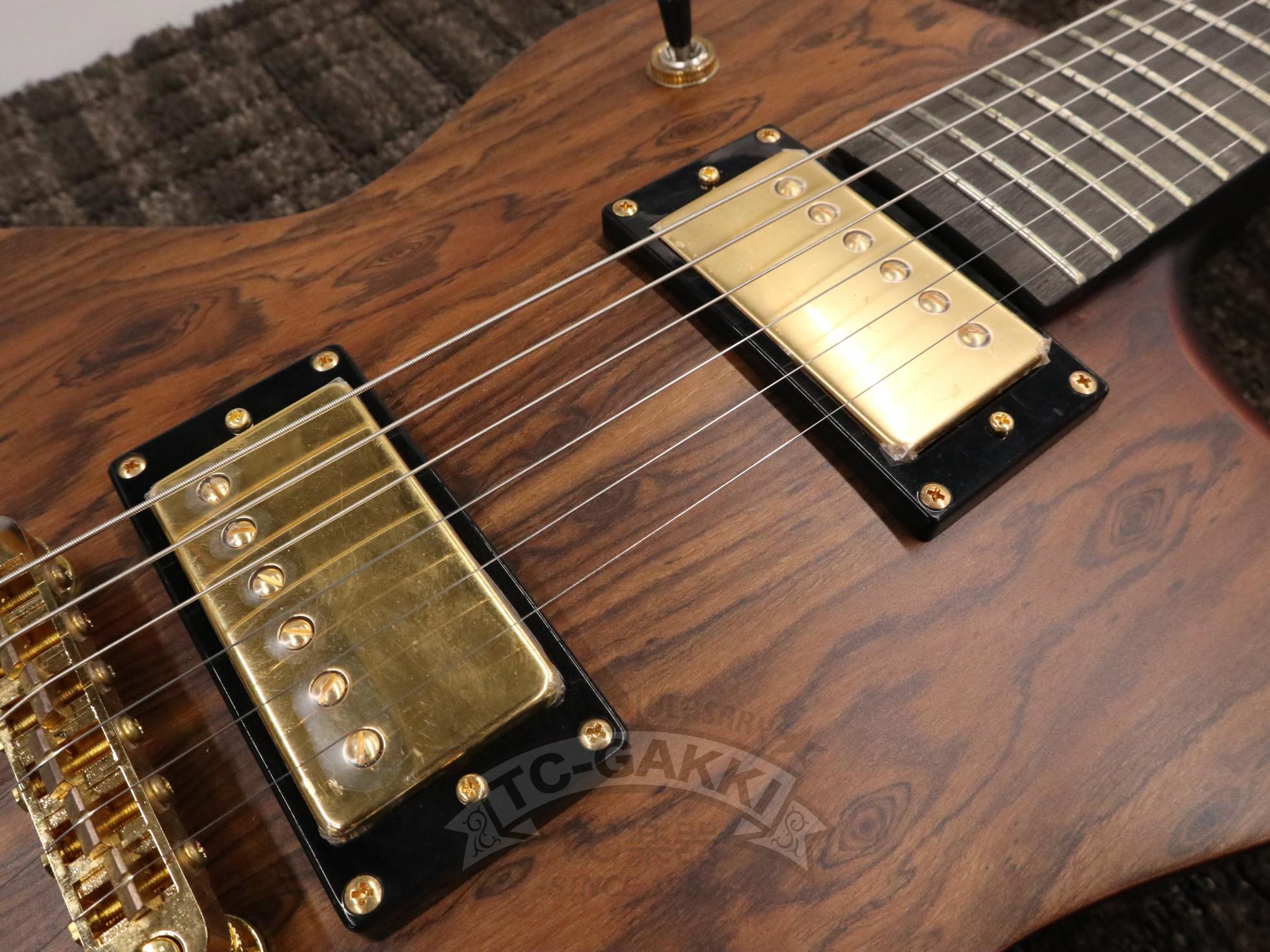 GE - 01 Limited Series - TC楽器 - TCGAKKI