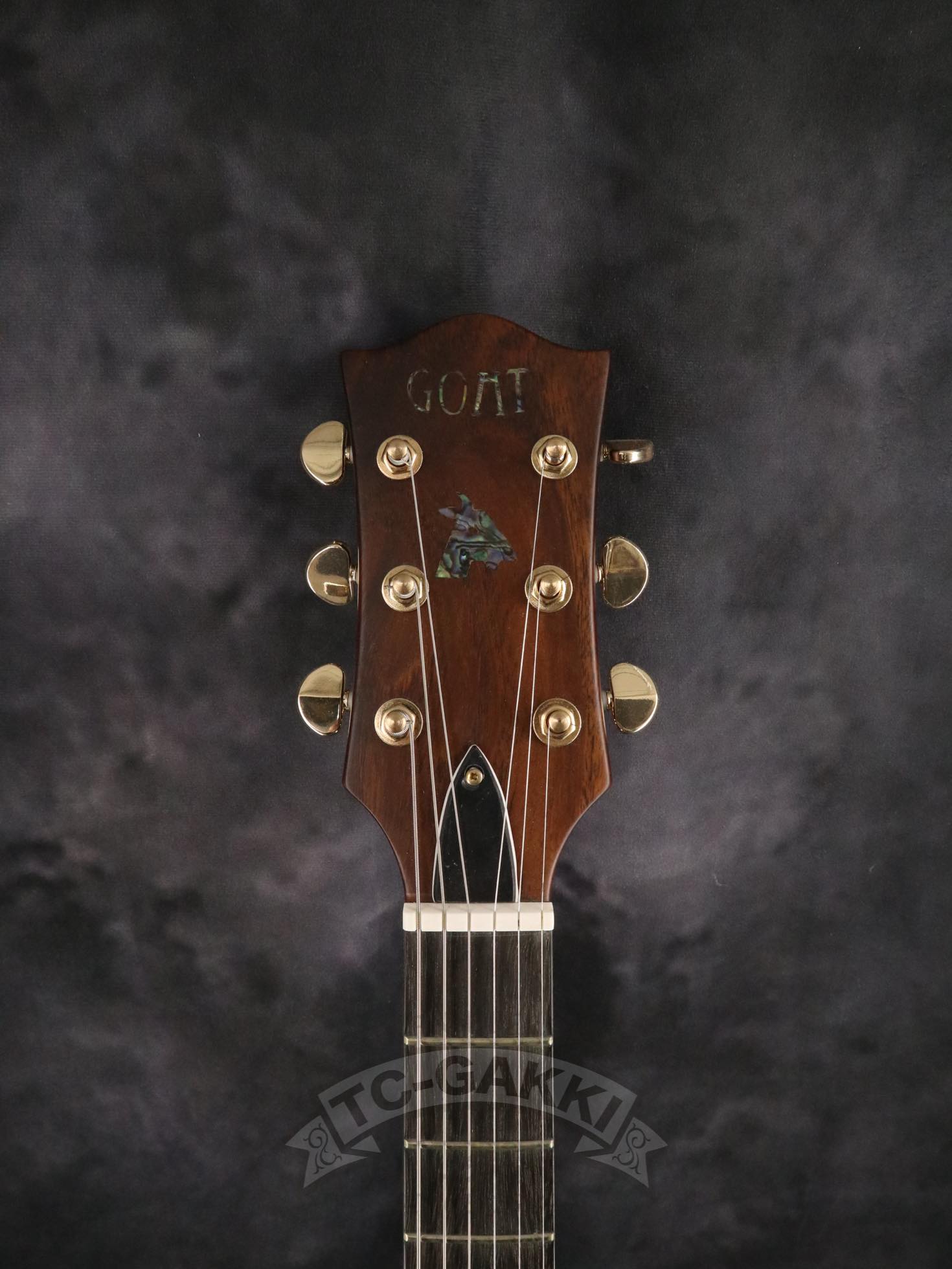 GE - 01 Limited Series - TC楽器 - TCGAKKI