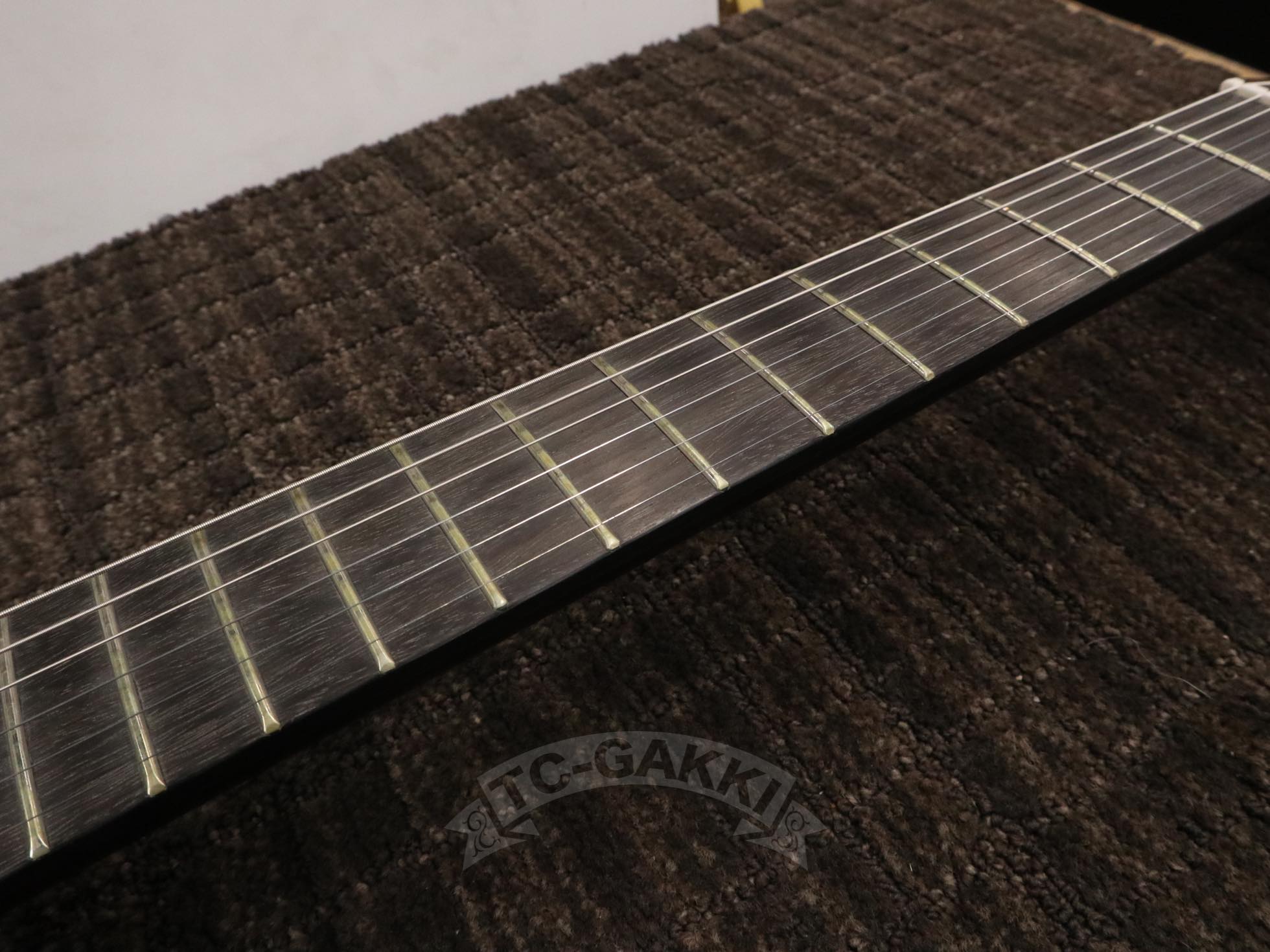 GE - 01 Limited Series - TC楽器 - TCGAKKI