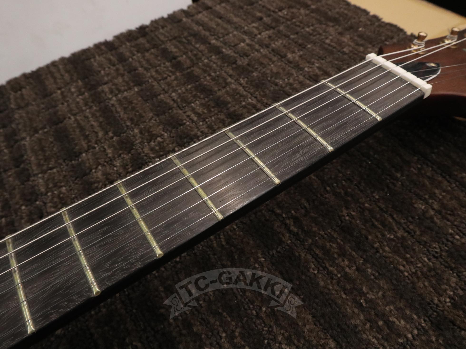 GE - 01 Limited Series - TC楽器 - TCGAKKI