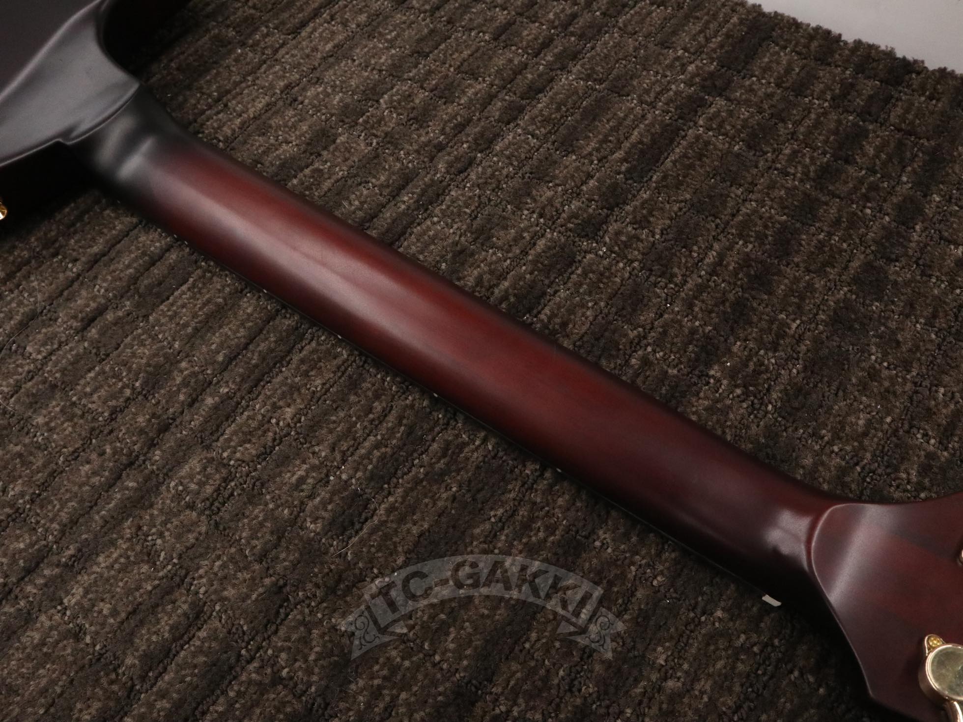 GE - 01 Limited Series - TC楽器 - TCGAKKI