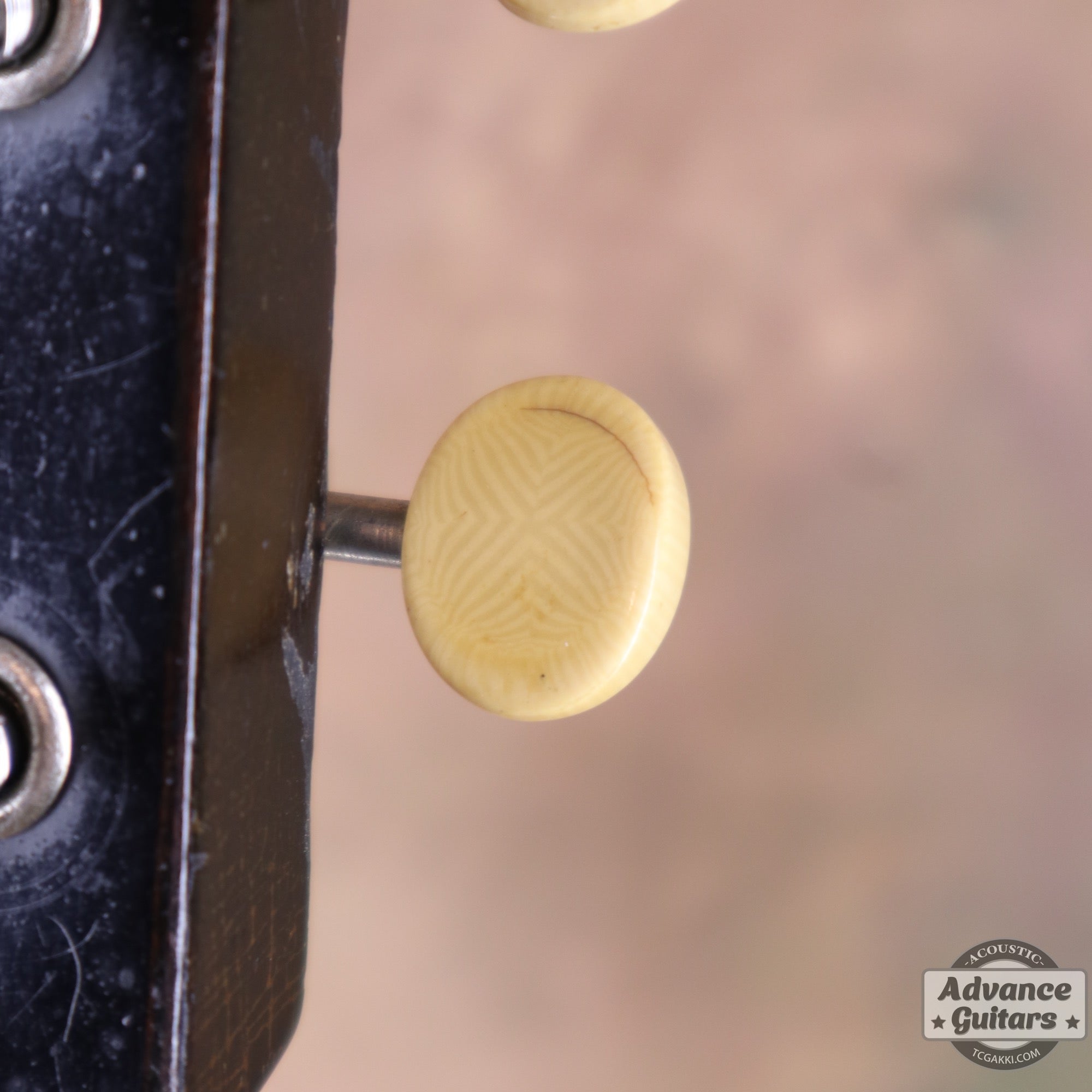 Gibson 1930年製 Gold Sparkle L-2 - TC楽器 - TCGAKKI