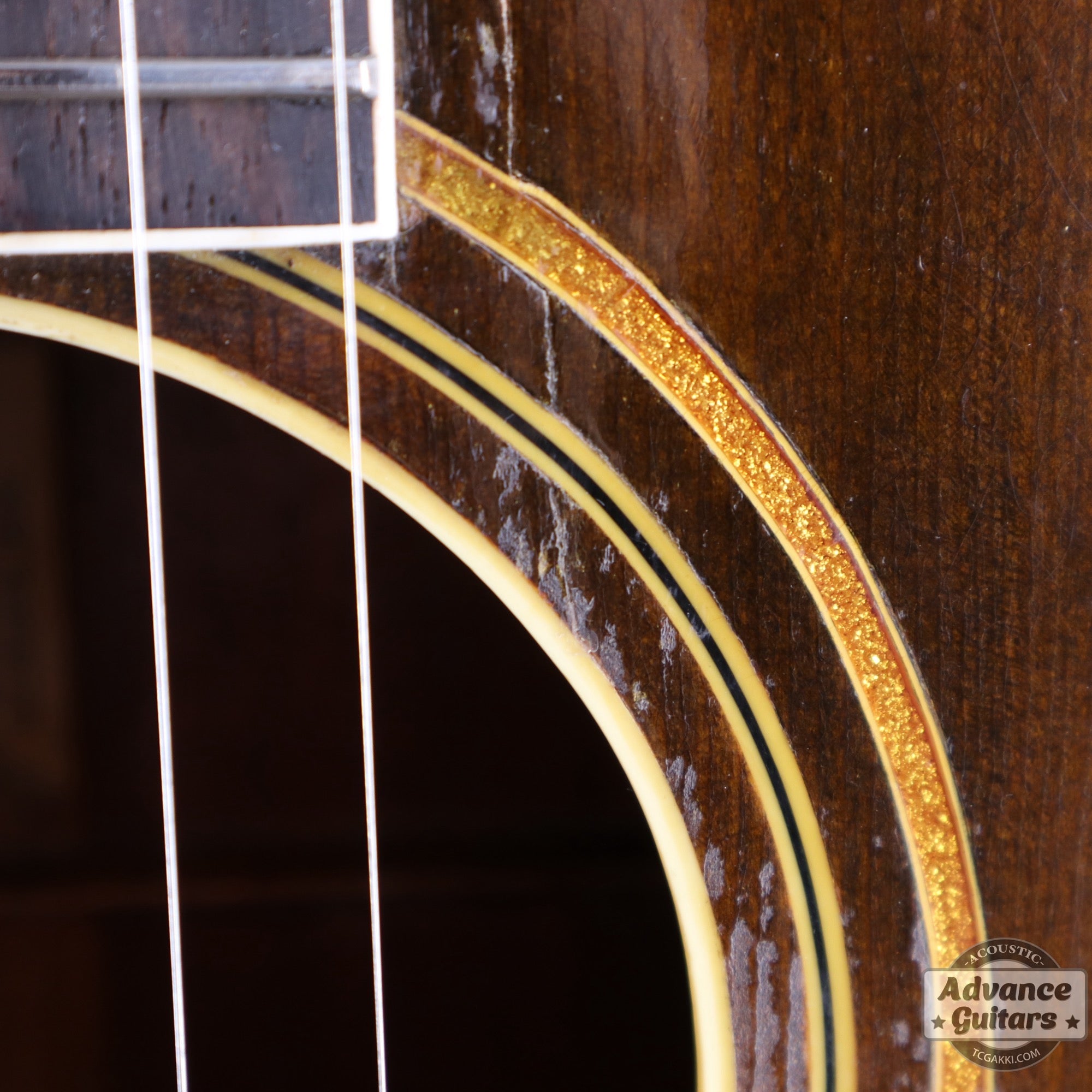 Gibson 1930年製 Gold Sparkle L-2 - TC楽器 - TCGAKKI