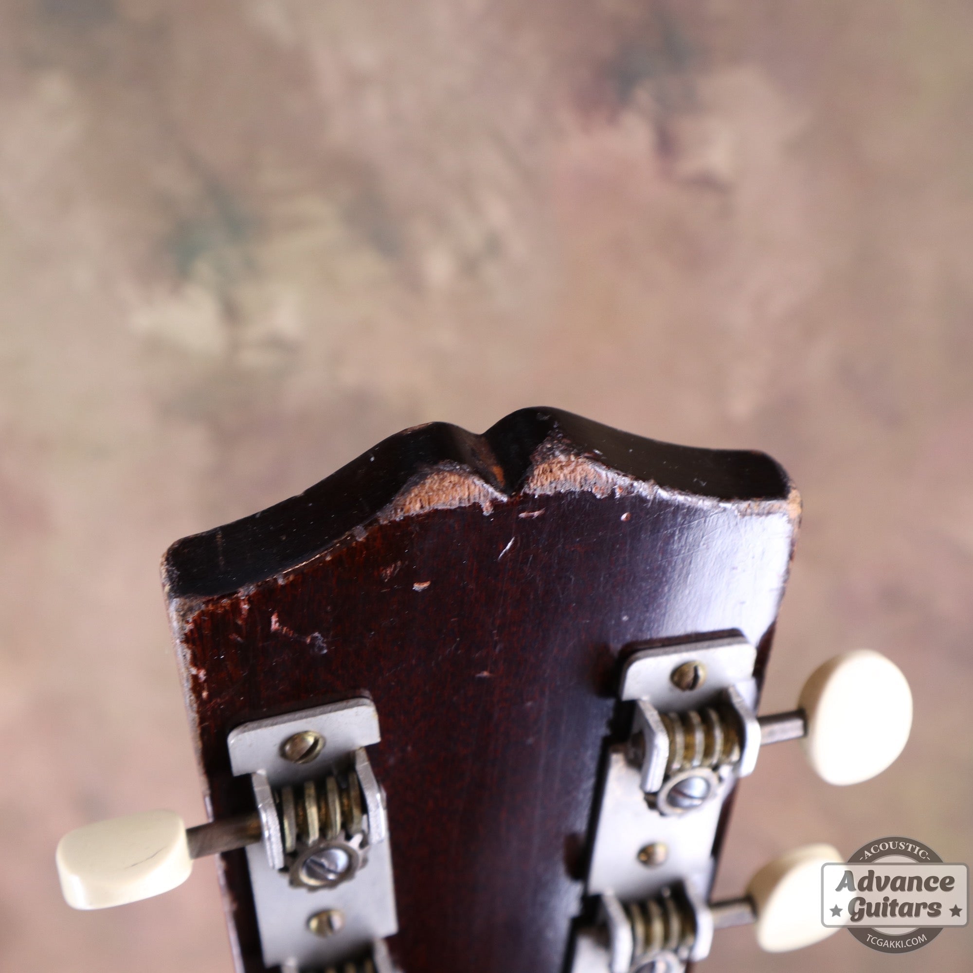 Gibson 1934年製 L-00 - TC楽器 - TCGAKKI