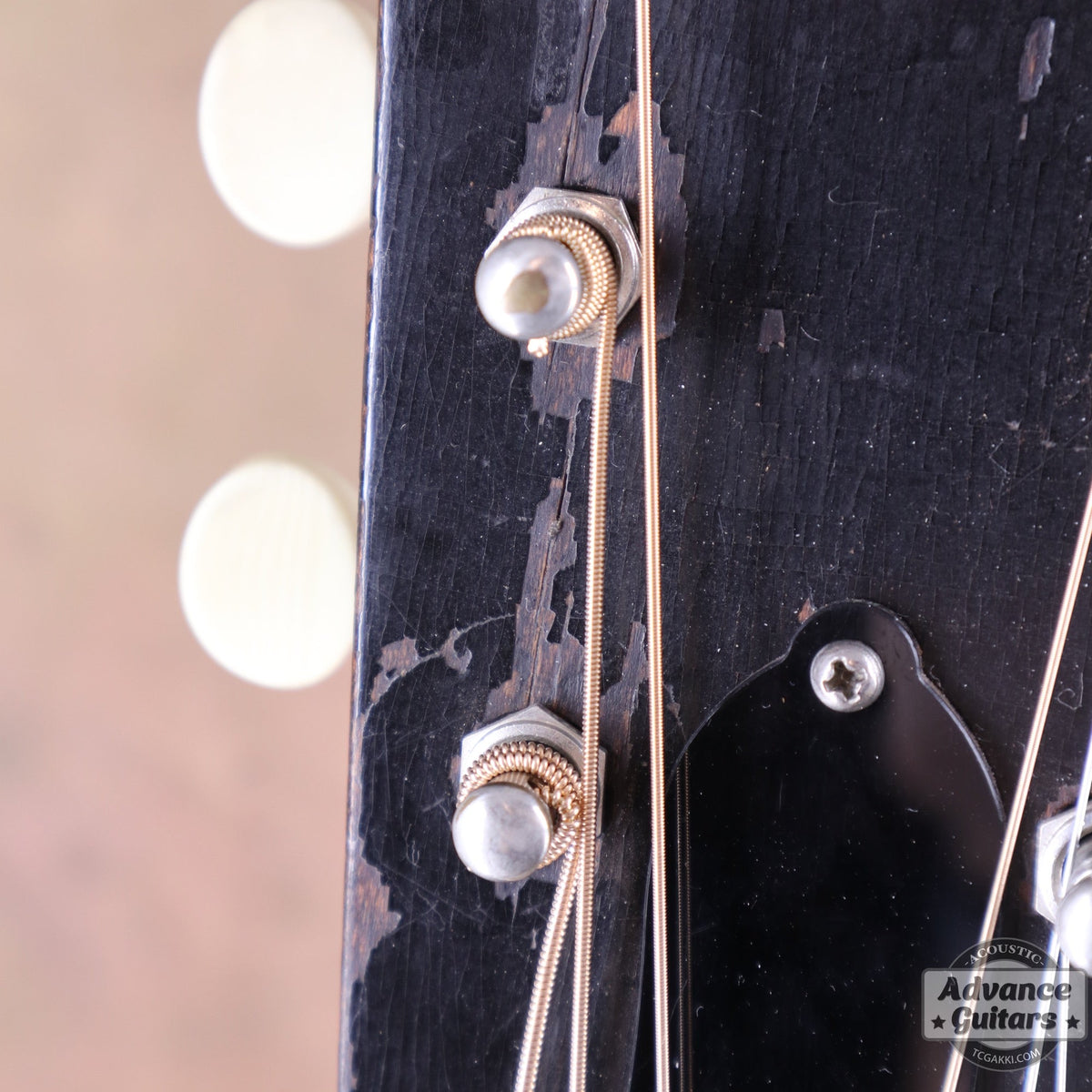 Gibson 1935年製 L-50 - TC楽器 - TCGAKKI
