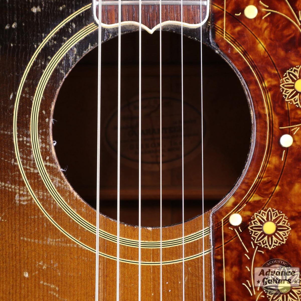 Gibson 1952年製 J-200 [Shipping Free〜8/31] - TC楽器 - TCGAKKI