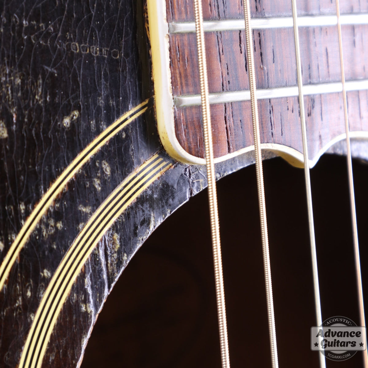 Gibson 1952年製 J-200 [Shipping Free〜8/31] - TC楽器 - TCGAKKI