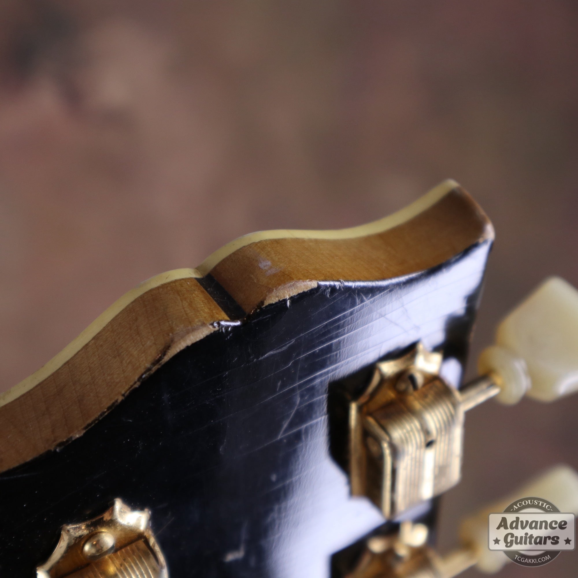 Gibson 1953年製 J-200N - TC楽器 - TCGAKKI