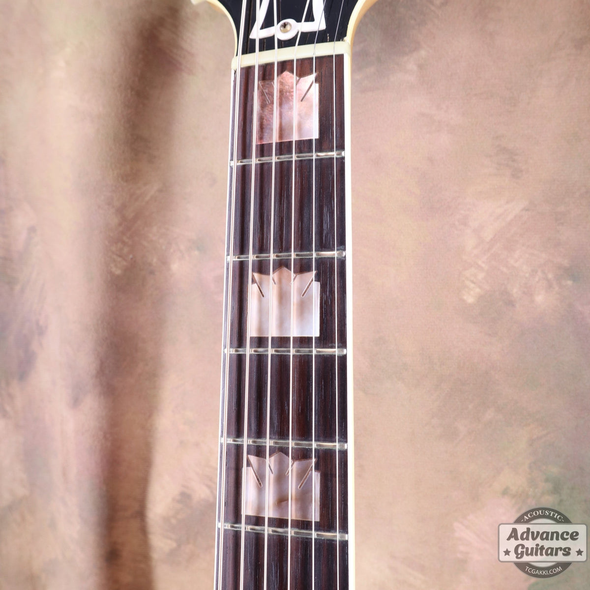 Gibson 1953年製 J-200N - TC楽器 - TCGAKKI