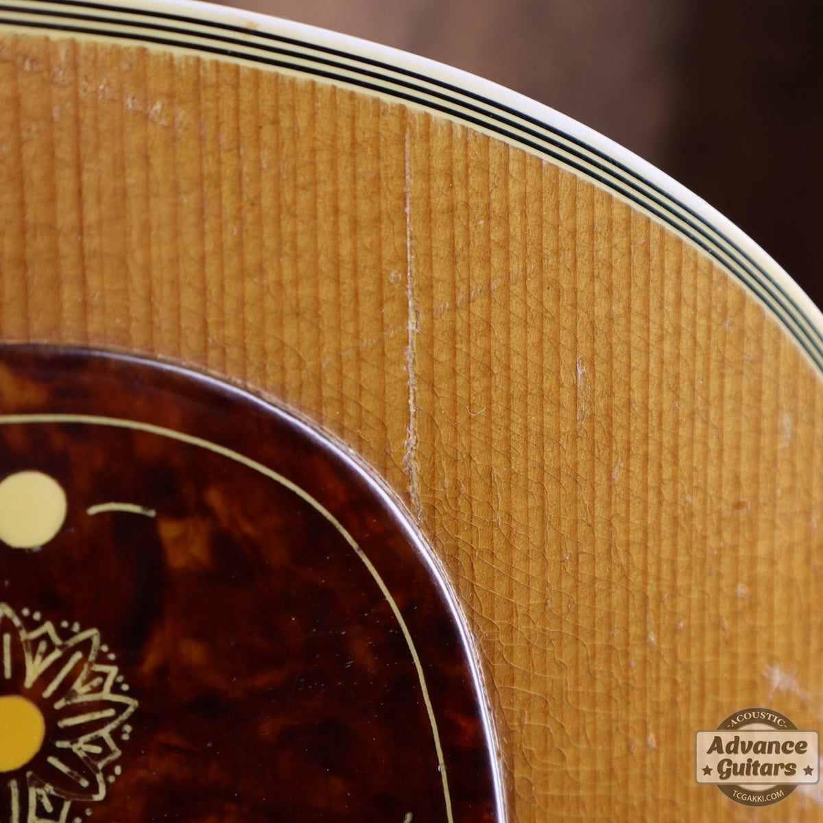 Gibson 1953年製 J-200N - TC楽器 - TCGAKKI