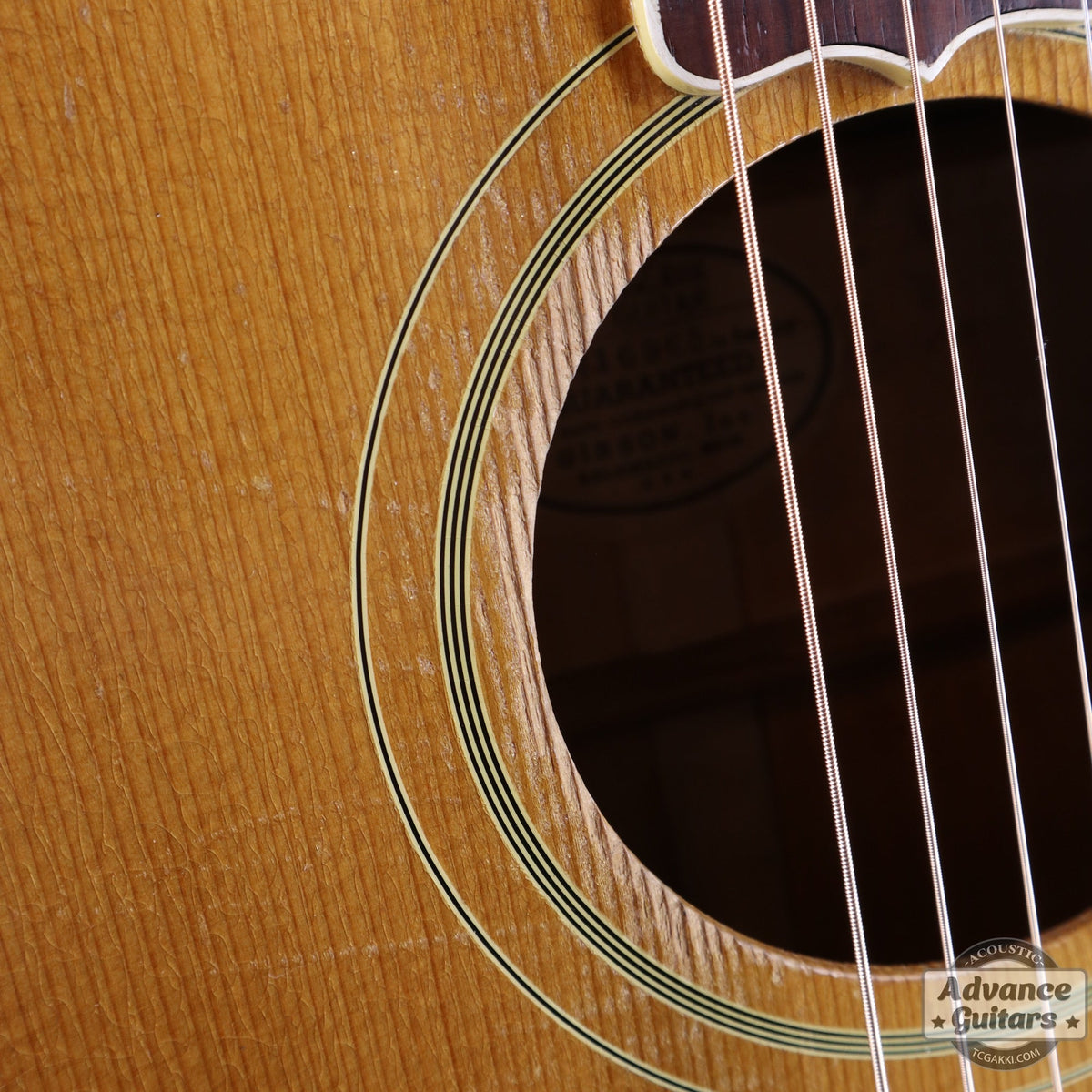 Gibson 1953年製 J-200N - TC楽器 - TCGAKKI
