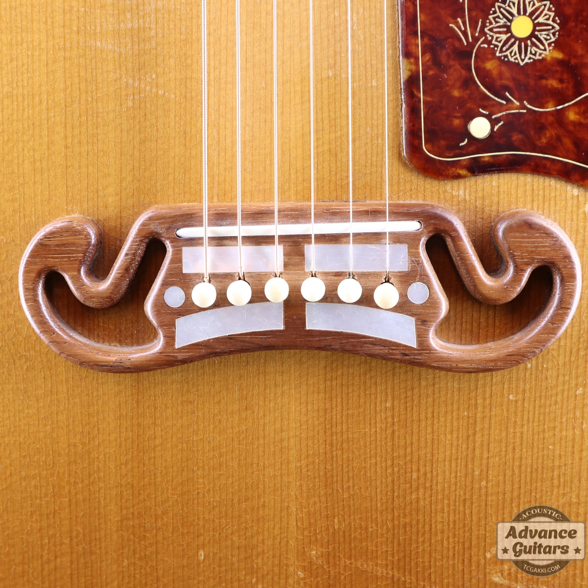 Gibson 1953年製 J-200N - TC楽器 - TCGAKKI