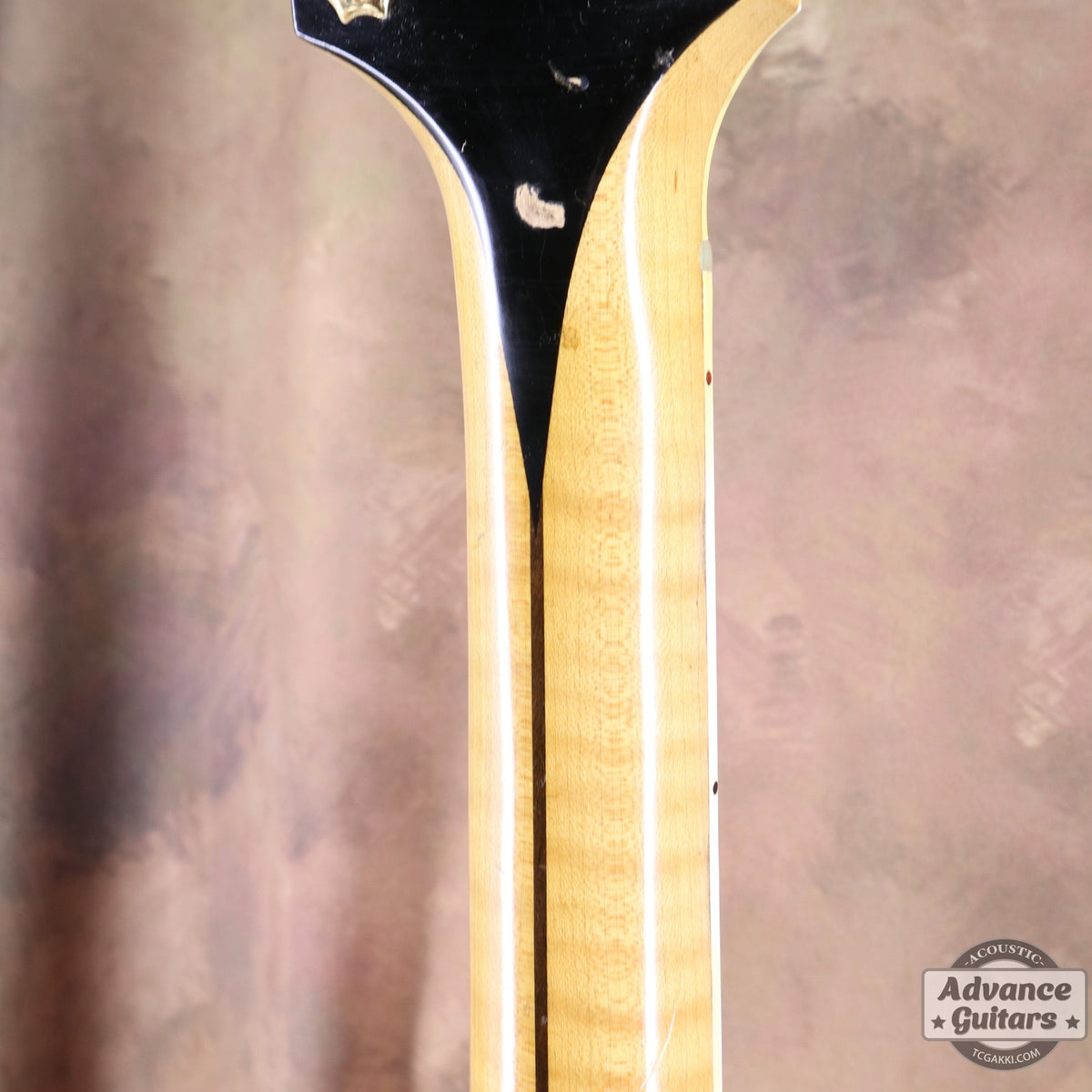 Gibson 1953年製 J-200N - TC楽器 - TCGAKKI