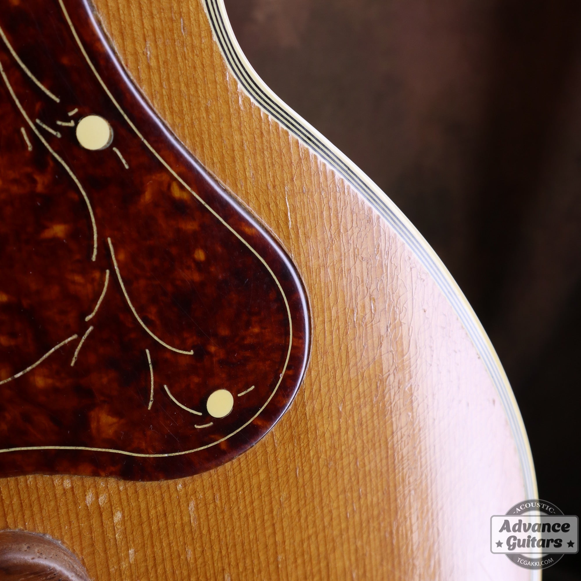 Gibson 1953年製 J-200N - TC楽器 - TCGAKKI