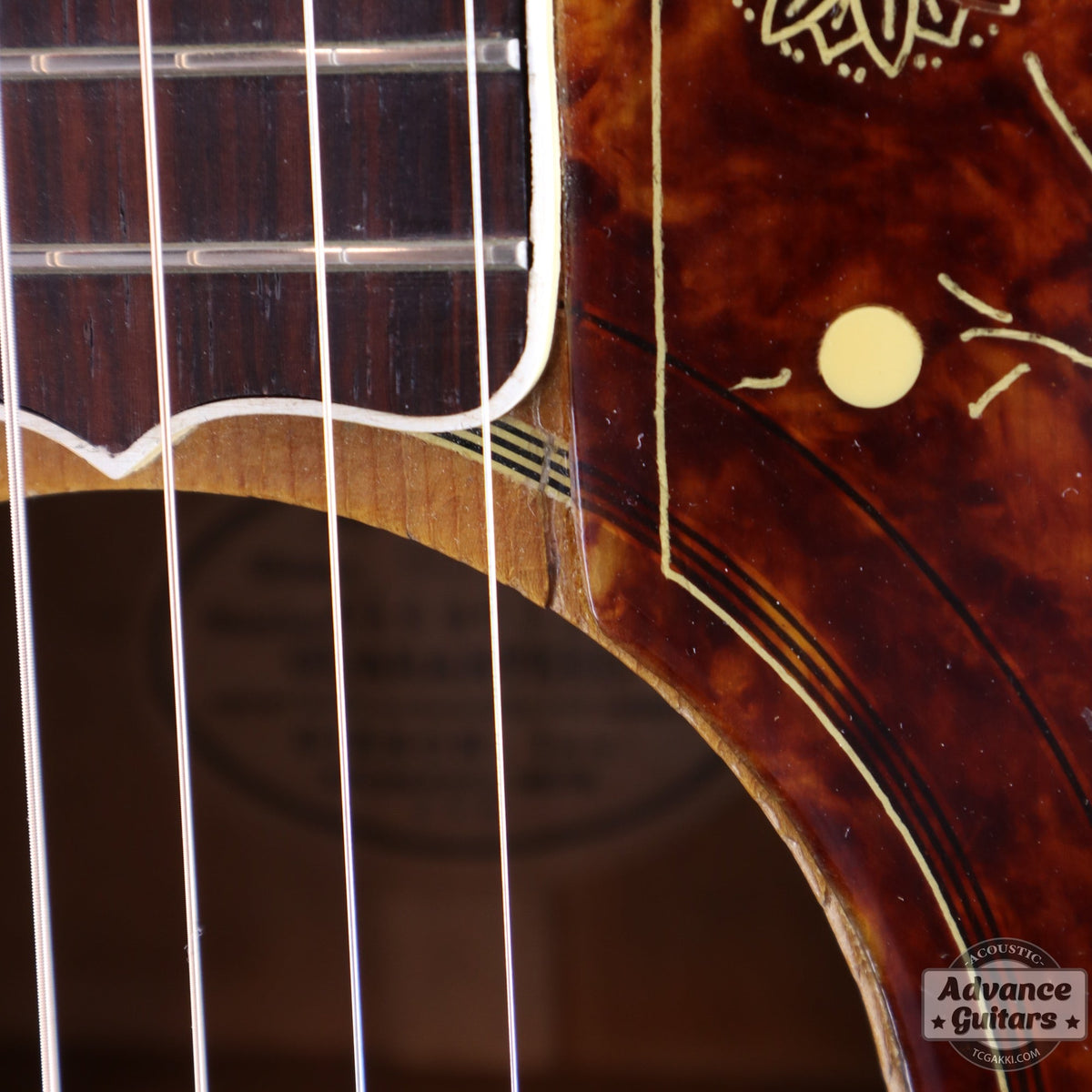 Gibson 1953年製 J-200N - TC楽器 - TCGAKKI
