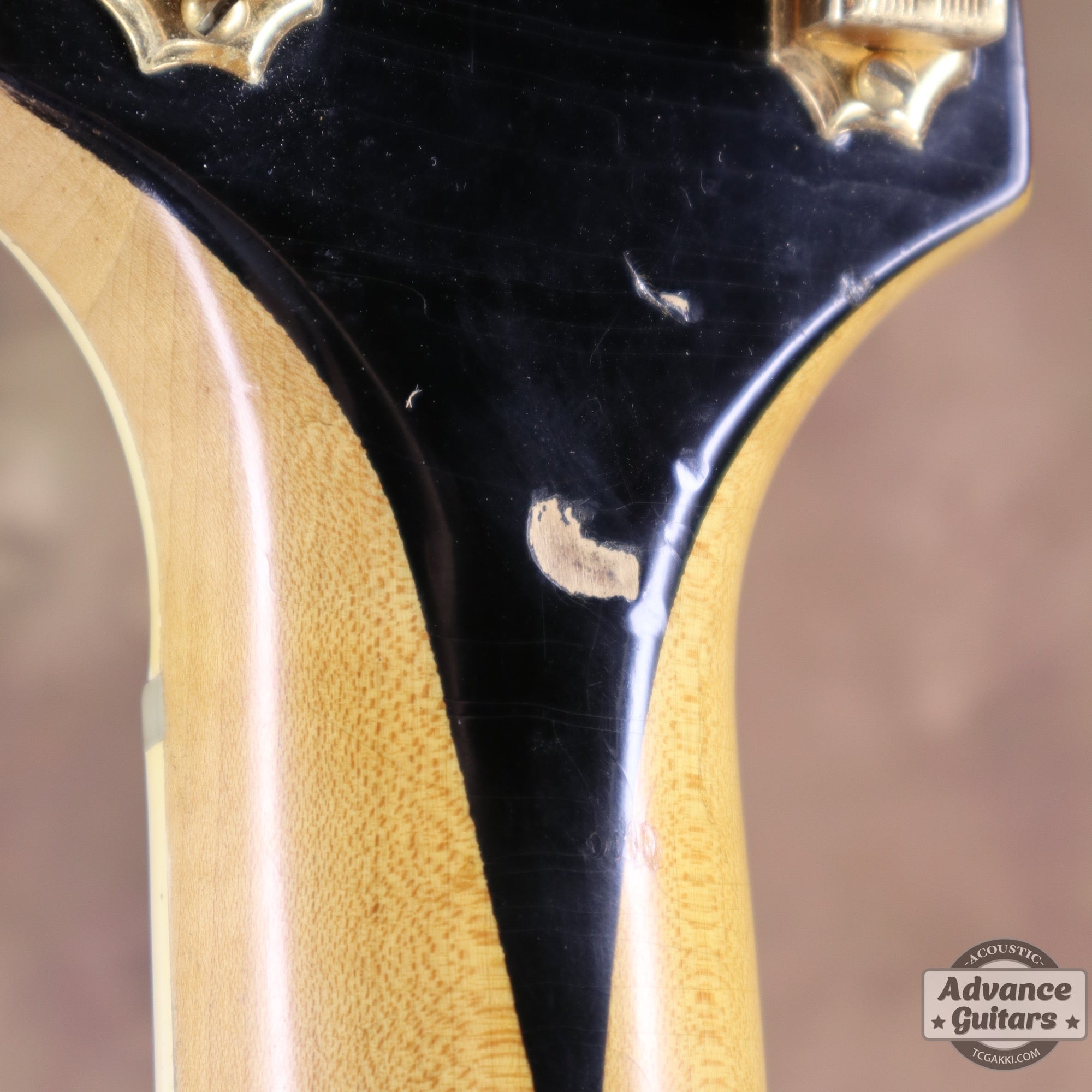 Gibson 1953年製 J-200N - TC楽器 - TCGAKKI